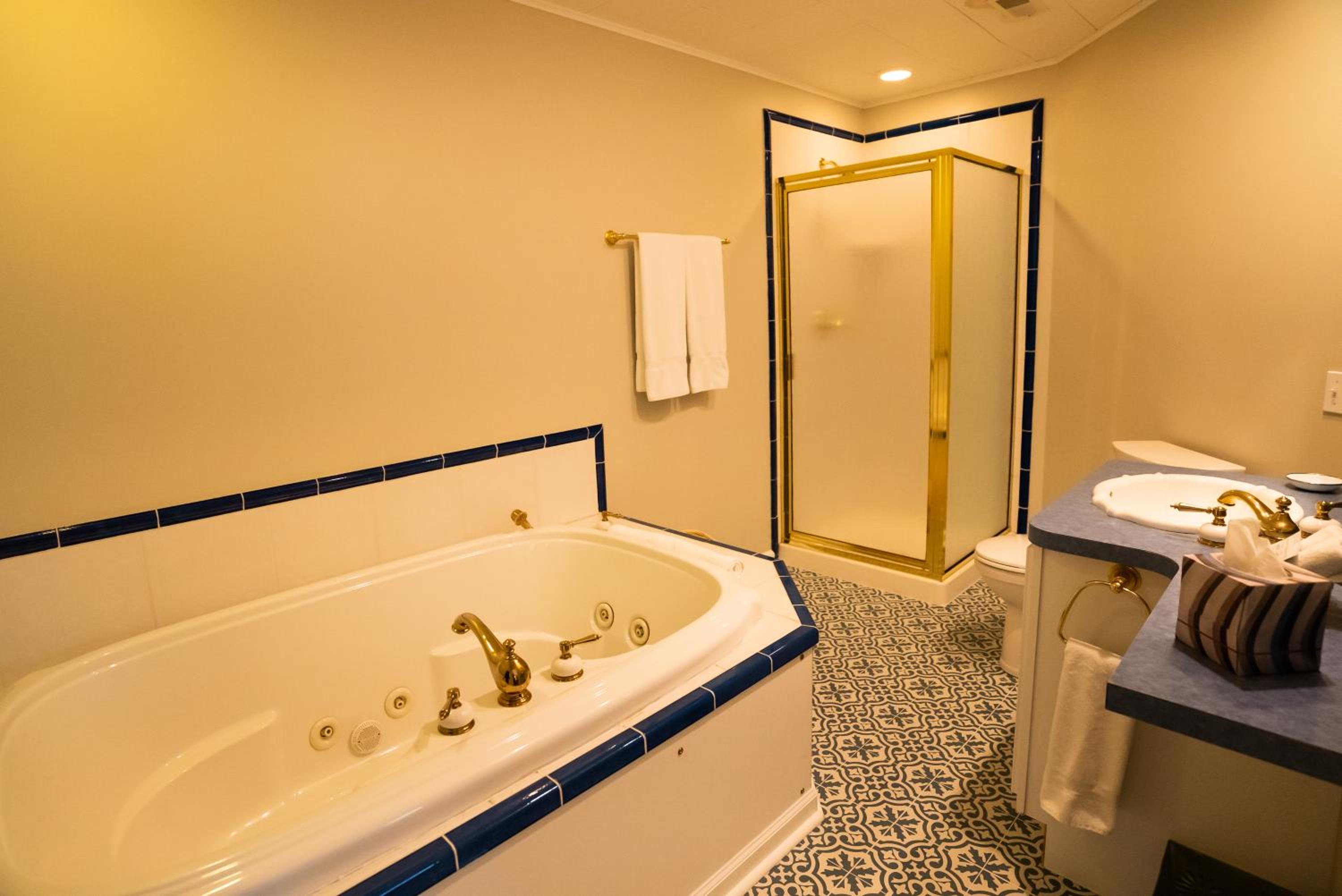 Deluxe Suite with Spa Bath photo 2