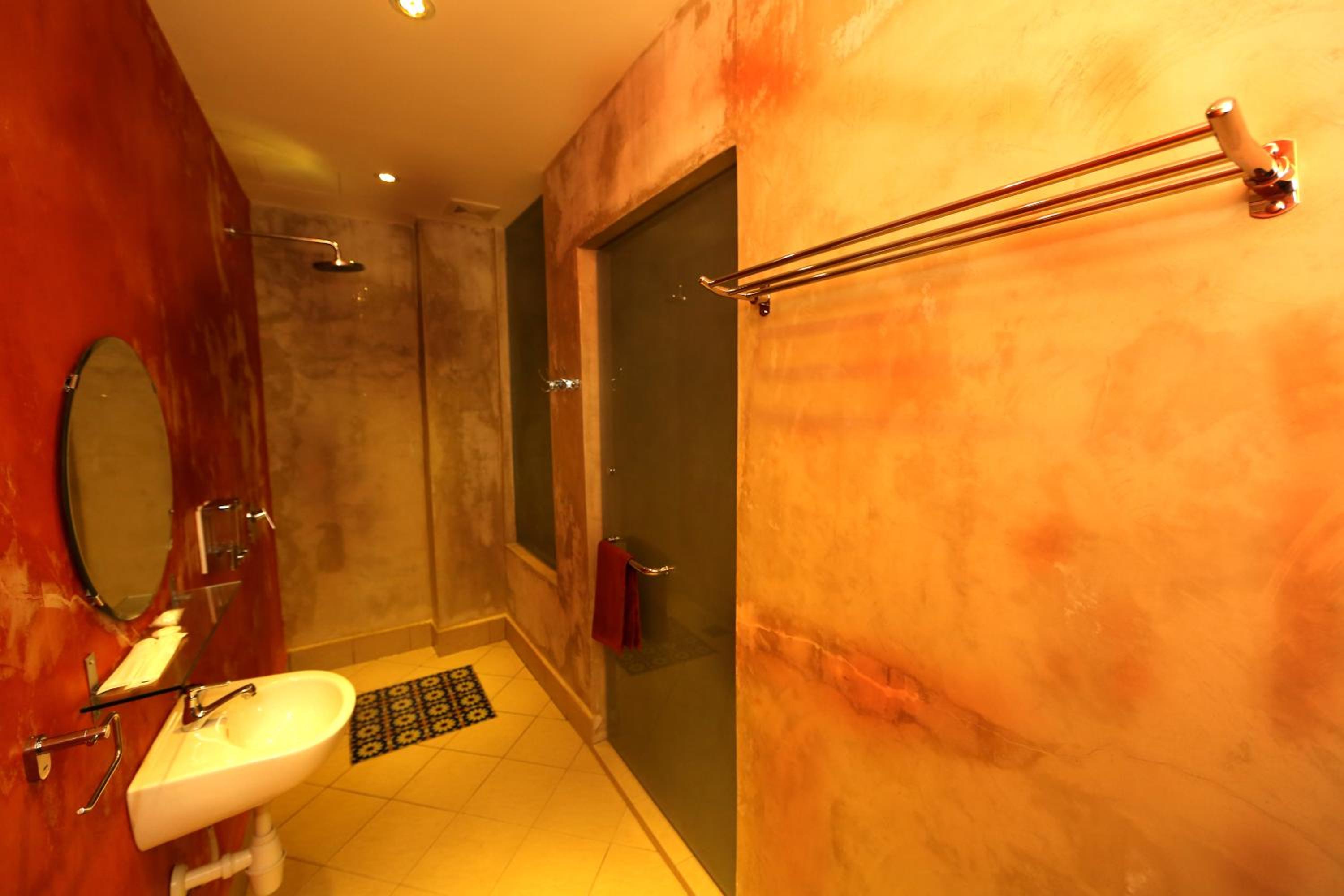 Deluxe Double or Twin Room photo 3