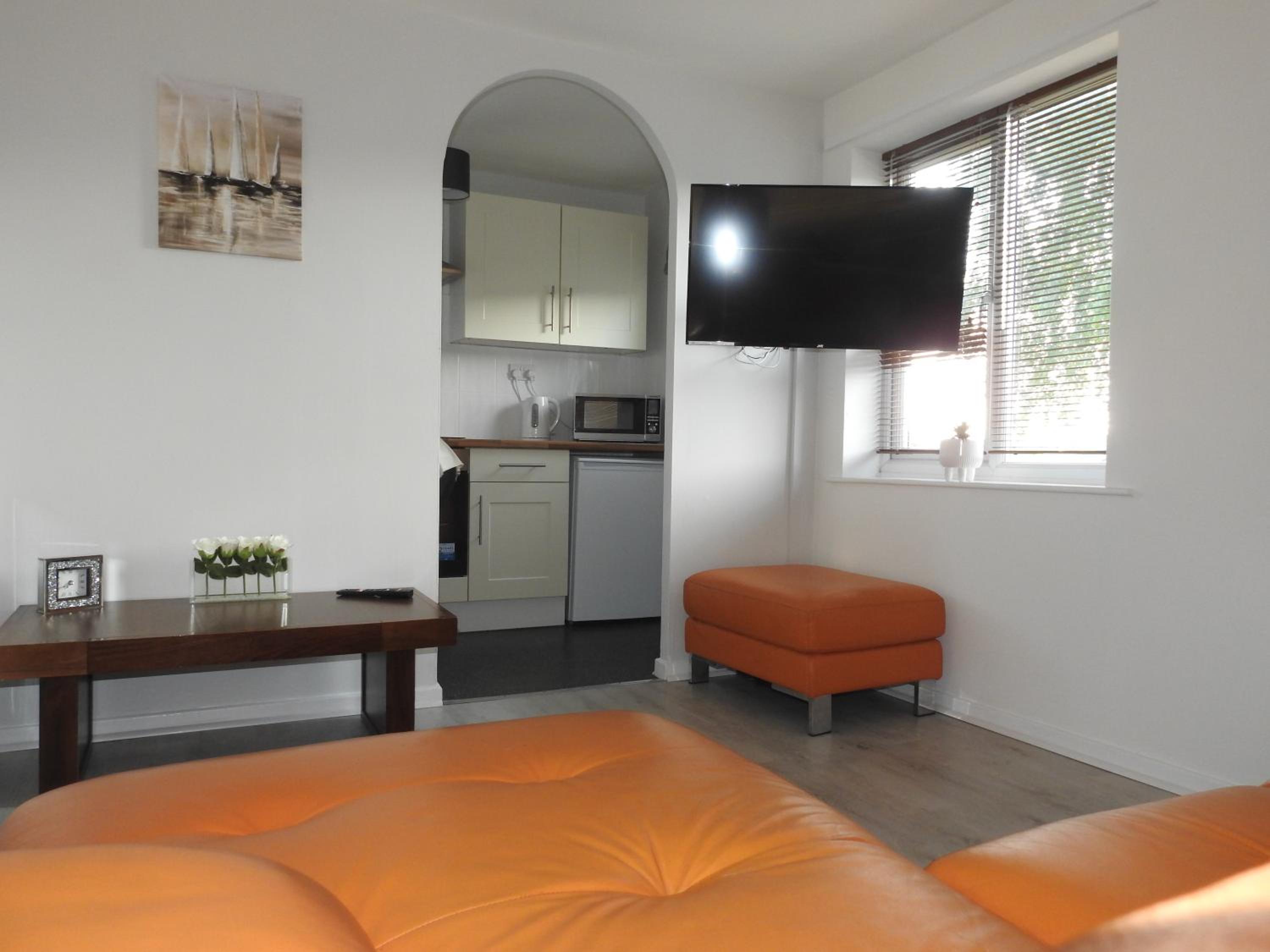 One-Bedroom Apartment photo 3