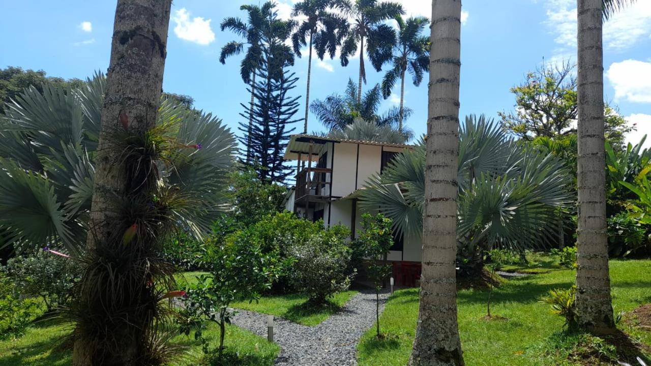 Three-Bedroom House photo 3
