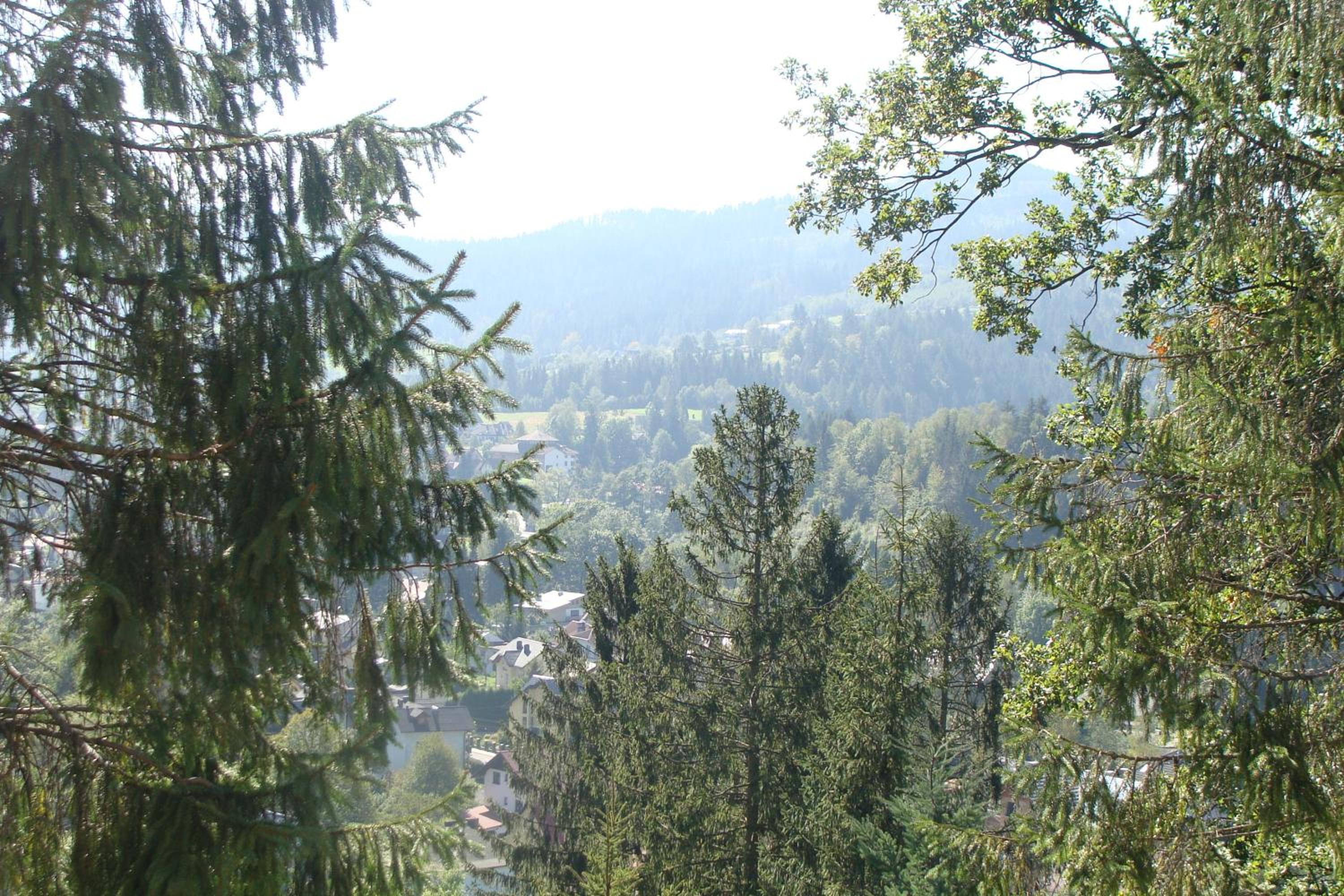 Apartment with Balcony photo 2
