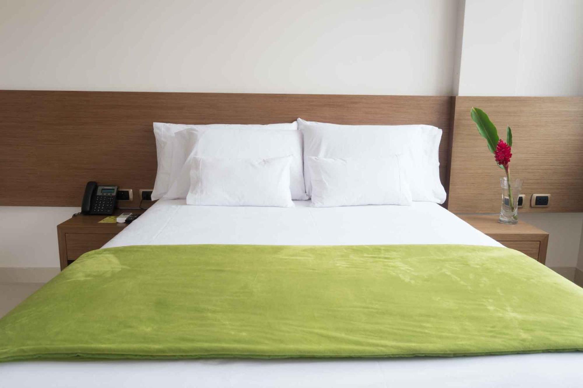 Single Room photo 1
