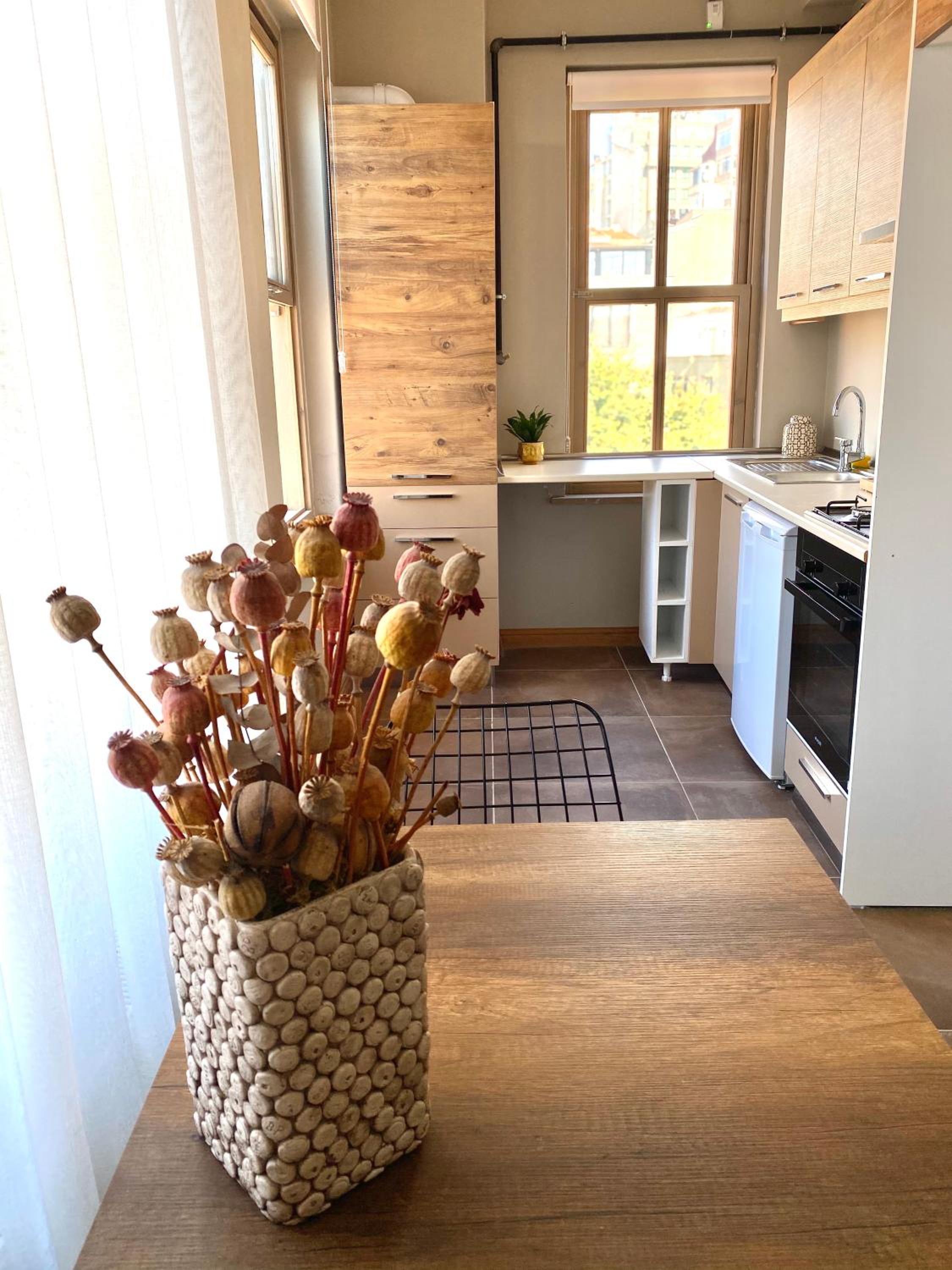 Standard Apartment photo 3