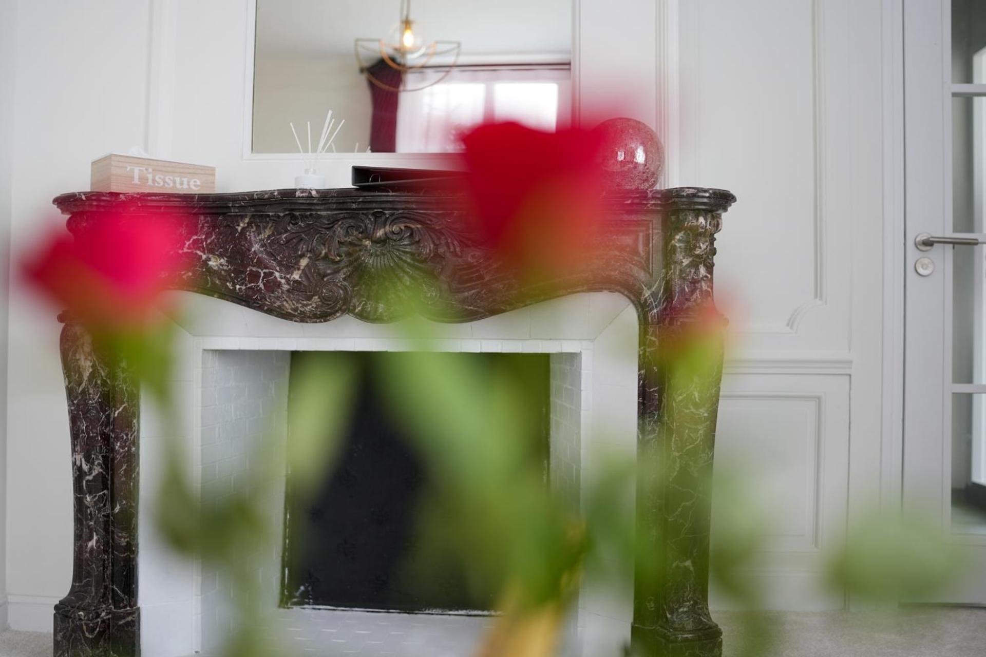 Suite - Photo 4