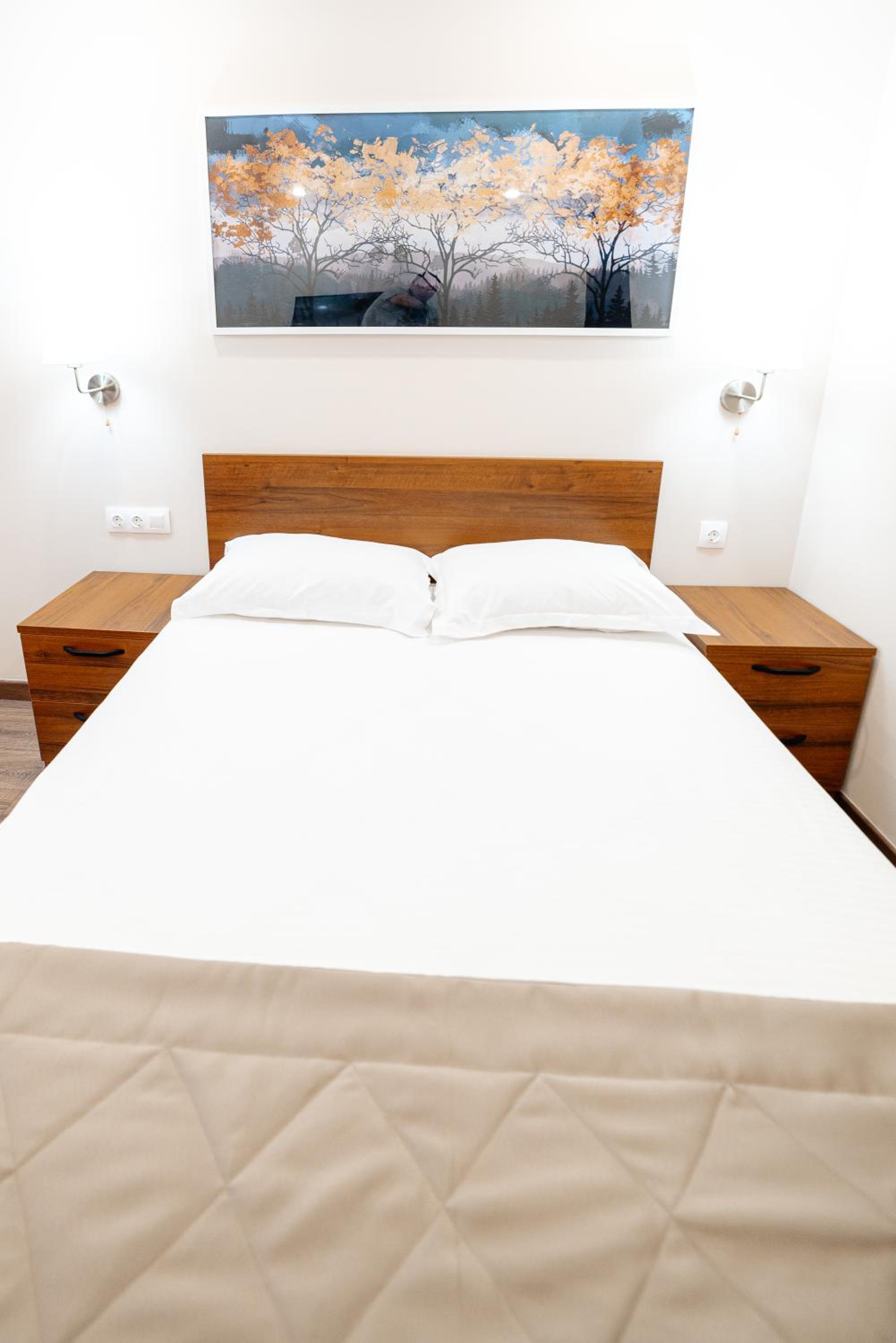 Standard Single Room photo 2