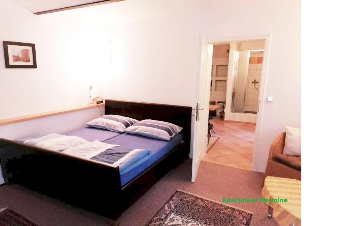 Apartment Hermine