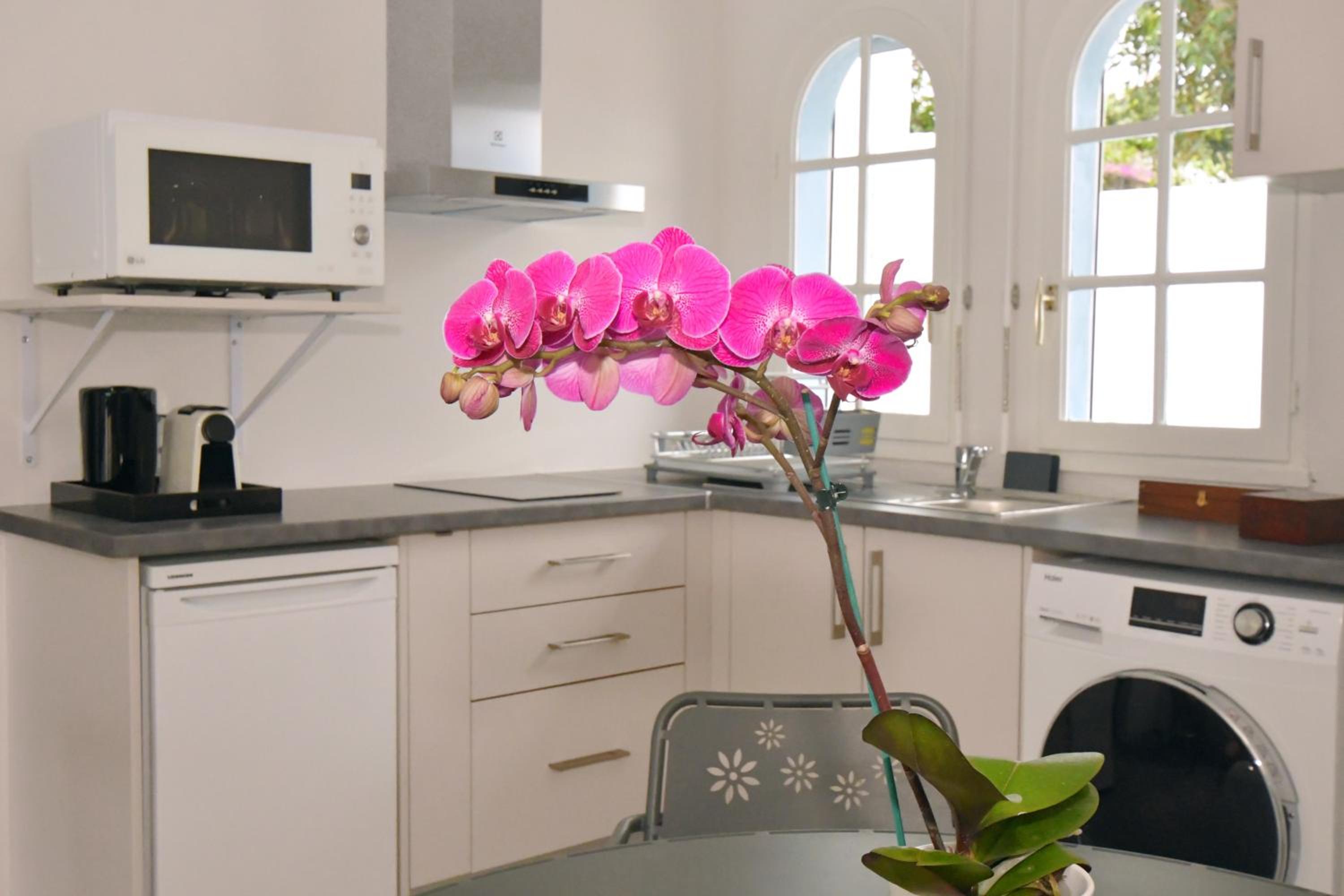 Suite photo 2