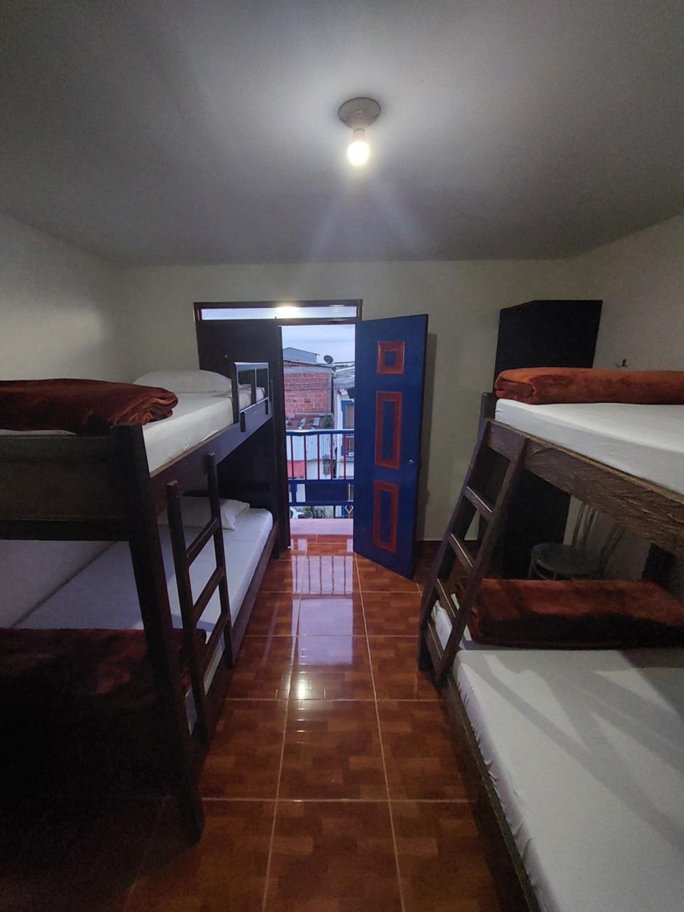 Bunk Bed in Mixed Dormitory Room