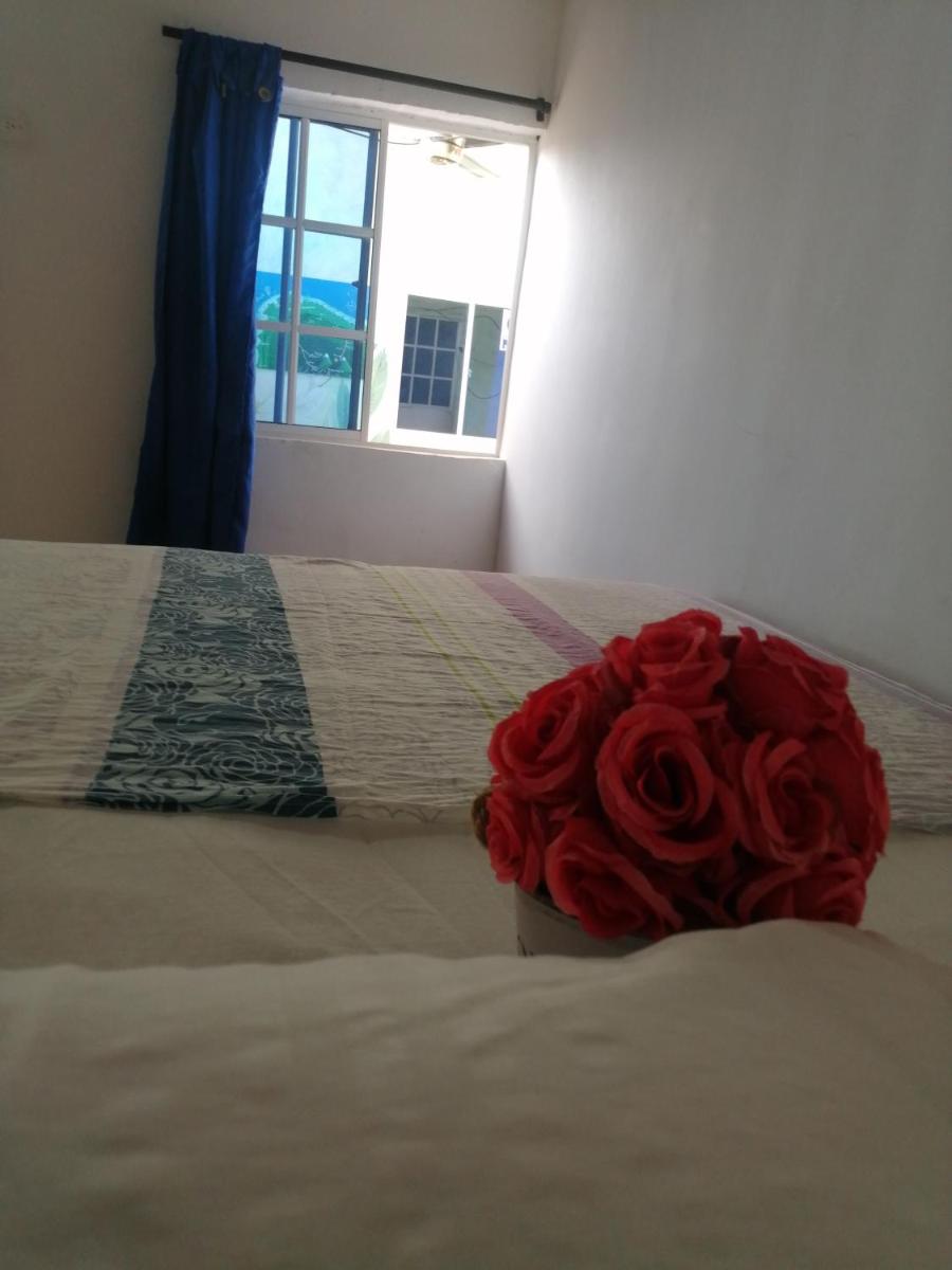 Basic Triple Room