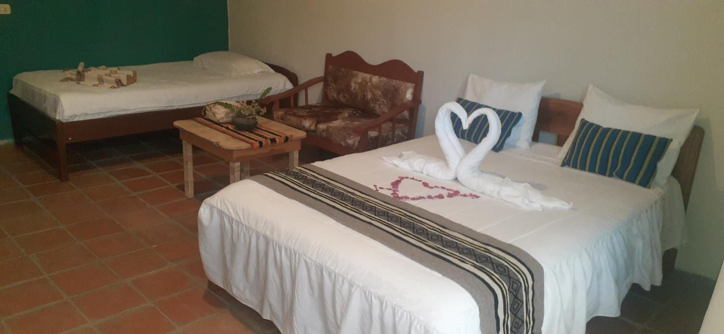Twin Room photo 2