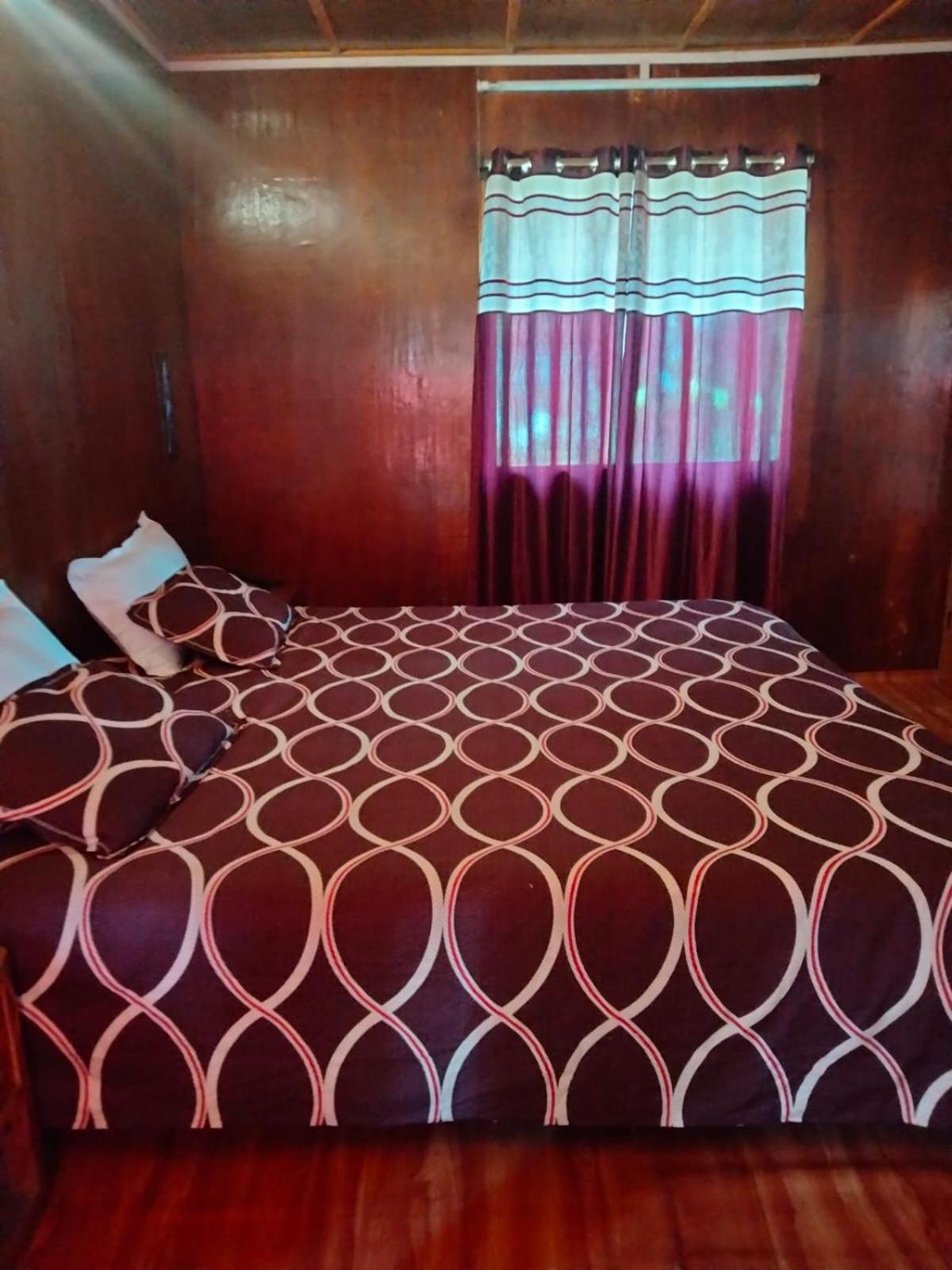 King Room with Garden View photo 1