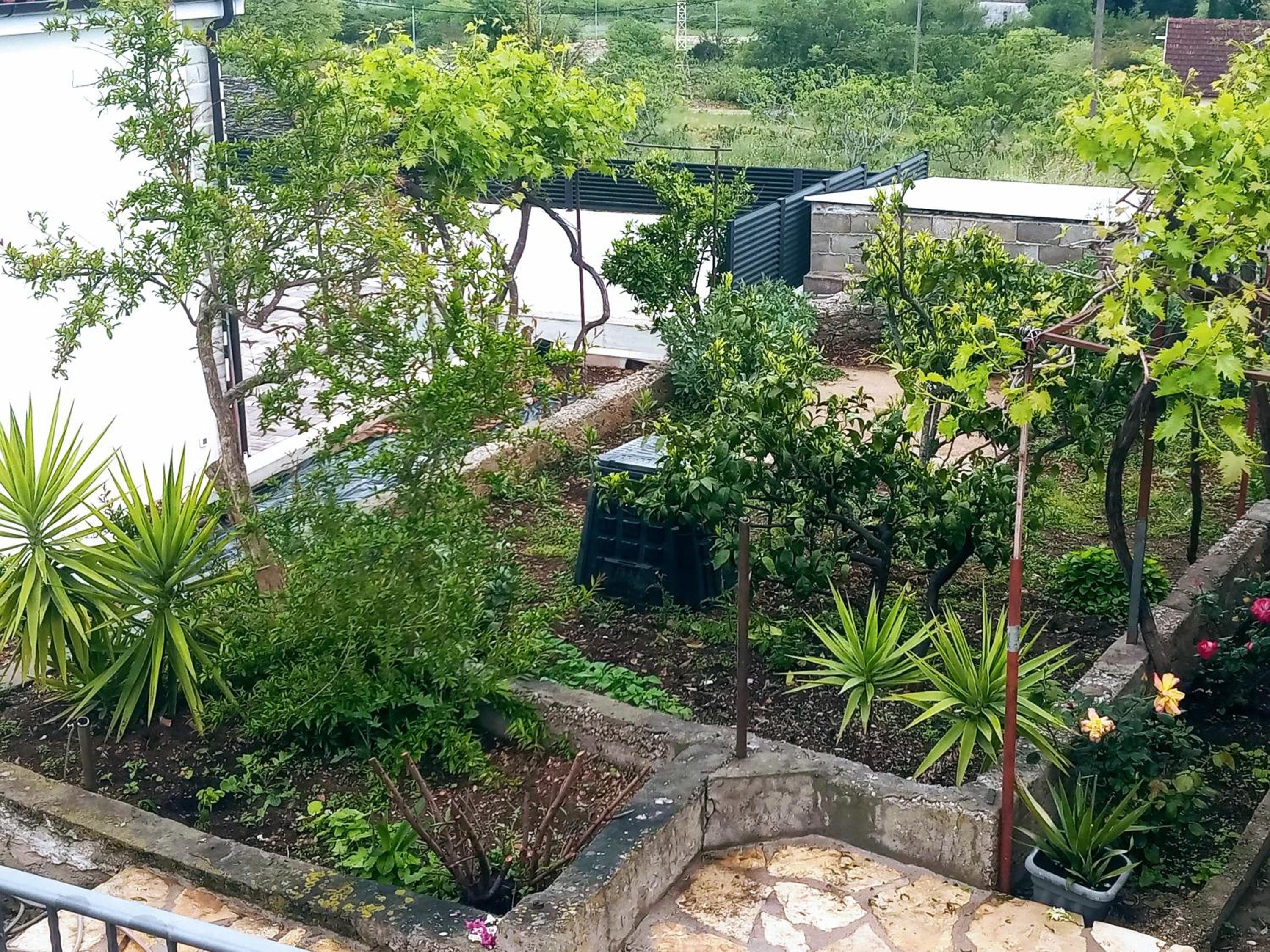 Apartment - Ground Floor photo 3