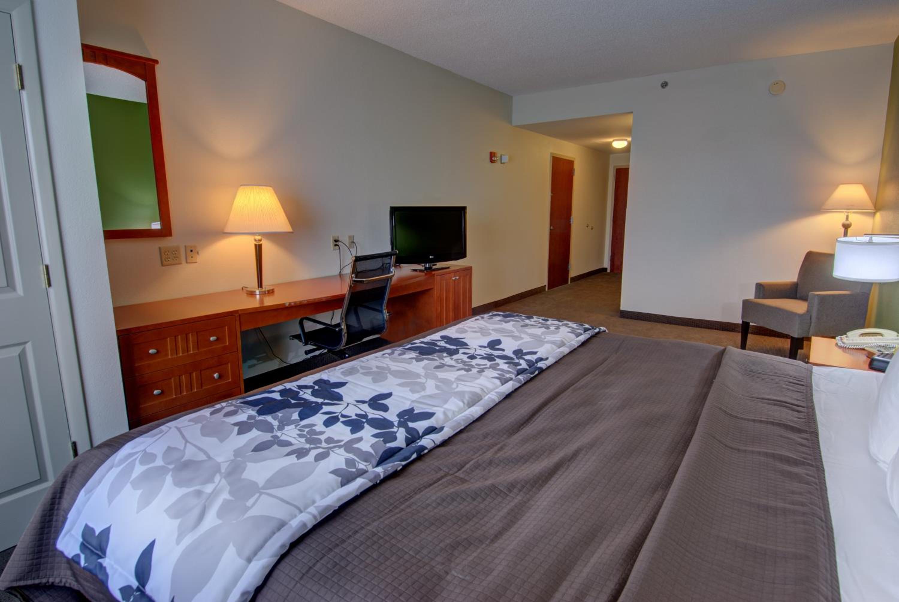 King Room - Accessible/Non-Smoking - Photo 4