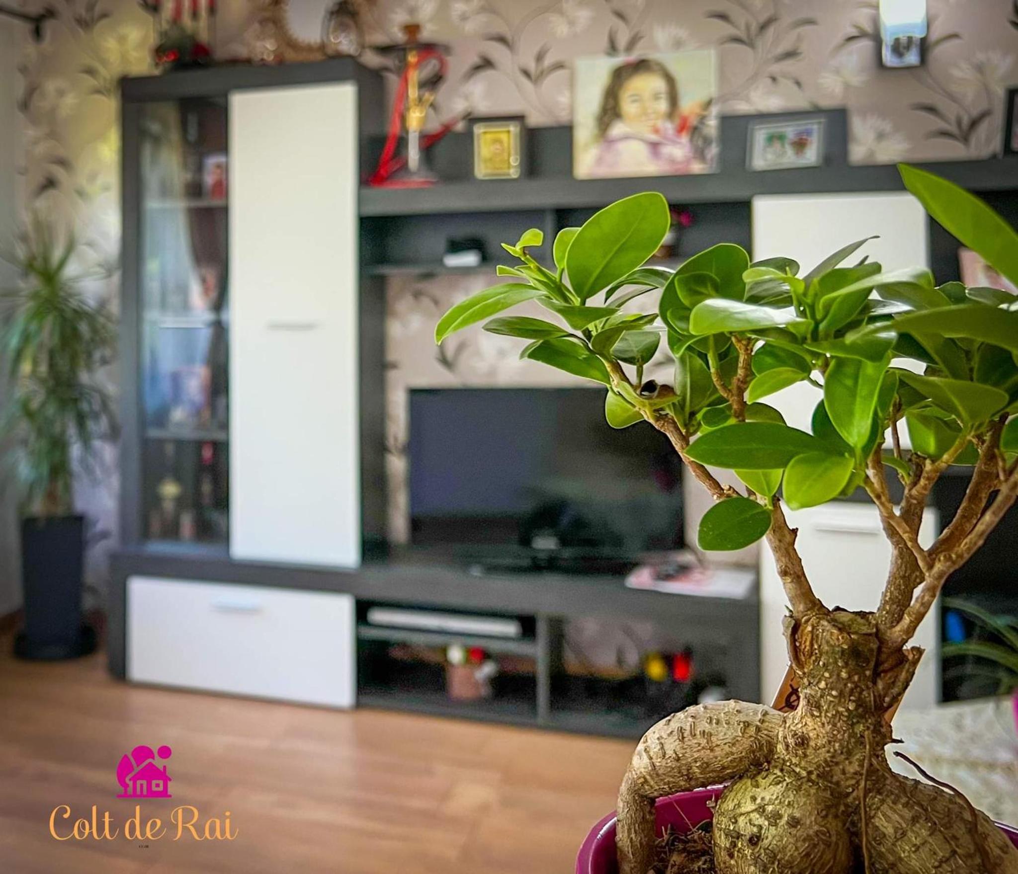 Two-Bedroom House - Photo 32