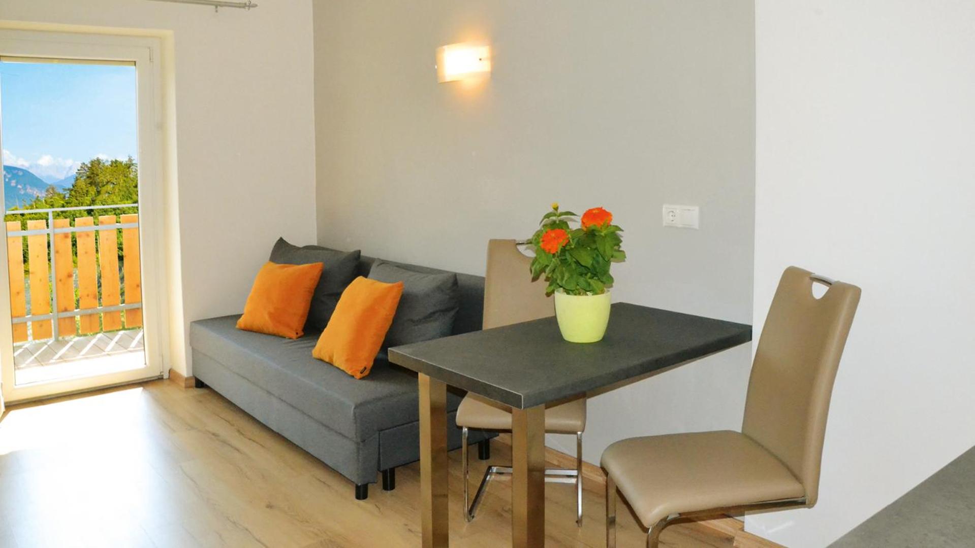  One-Bedroom Apartment (2 Adults) photo 3