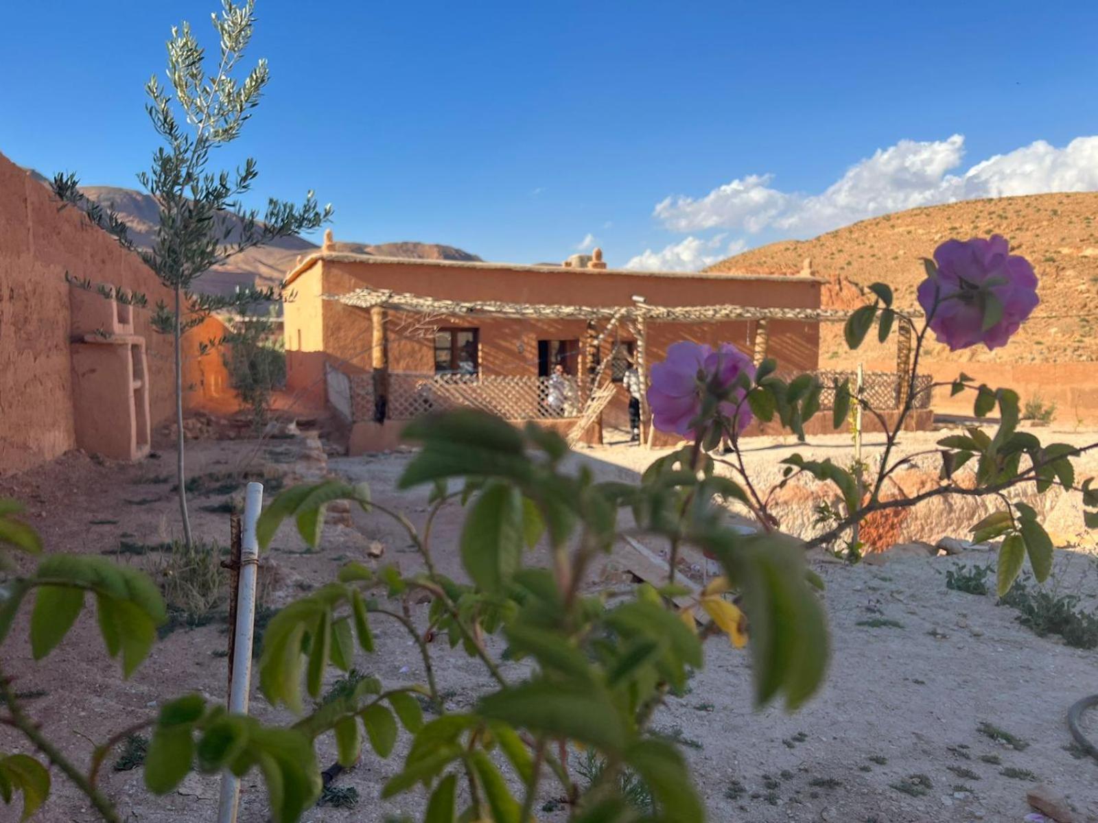 Three-Bedroom House - Photo 8