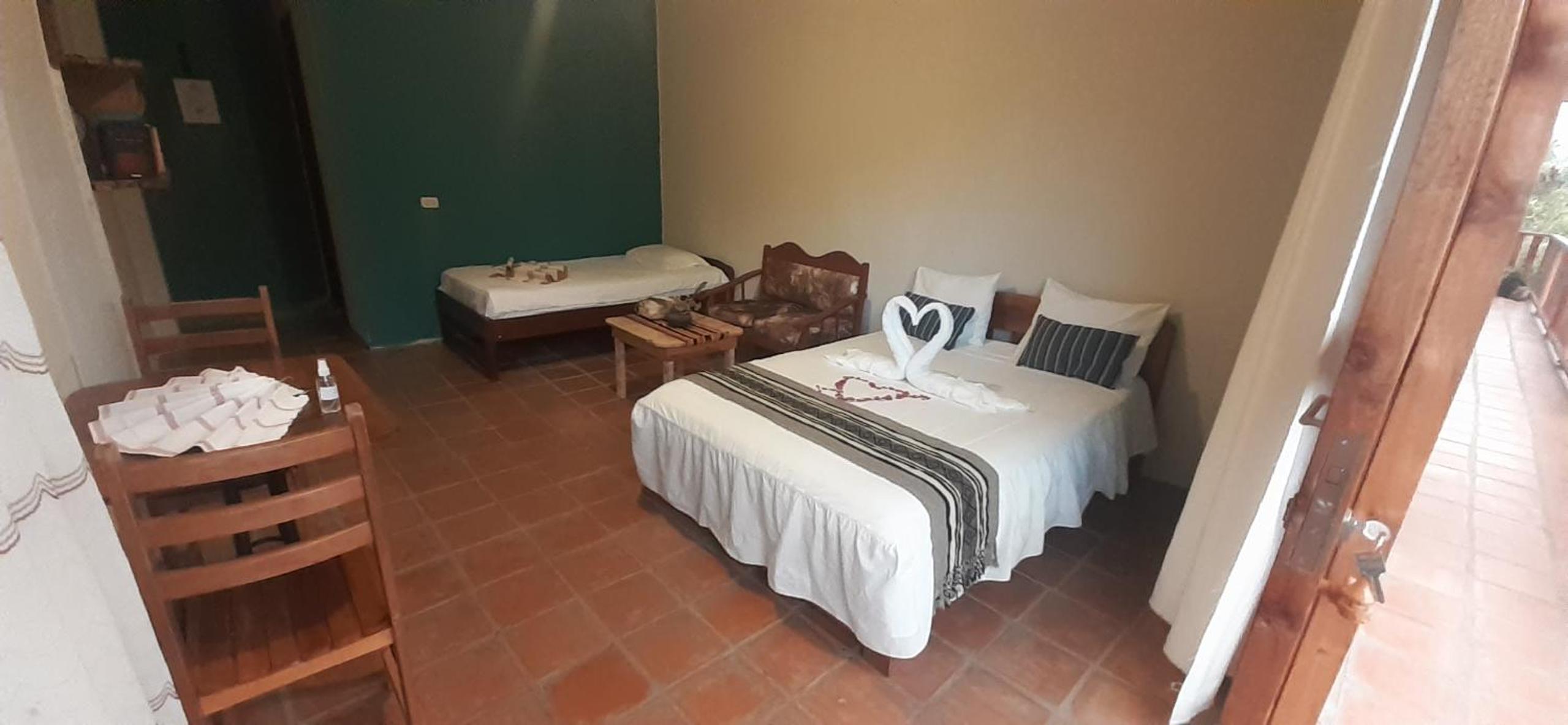 Twin Room photo 3