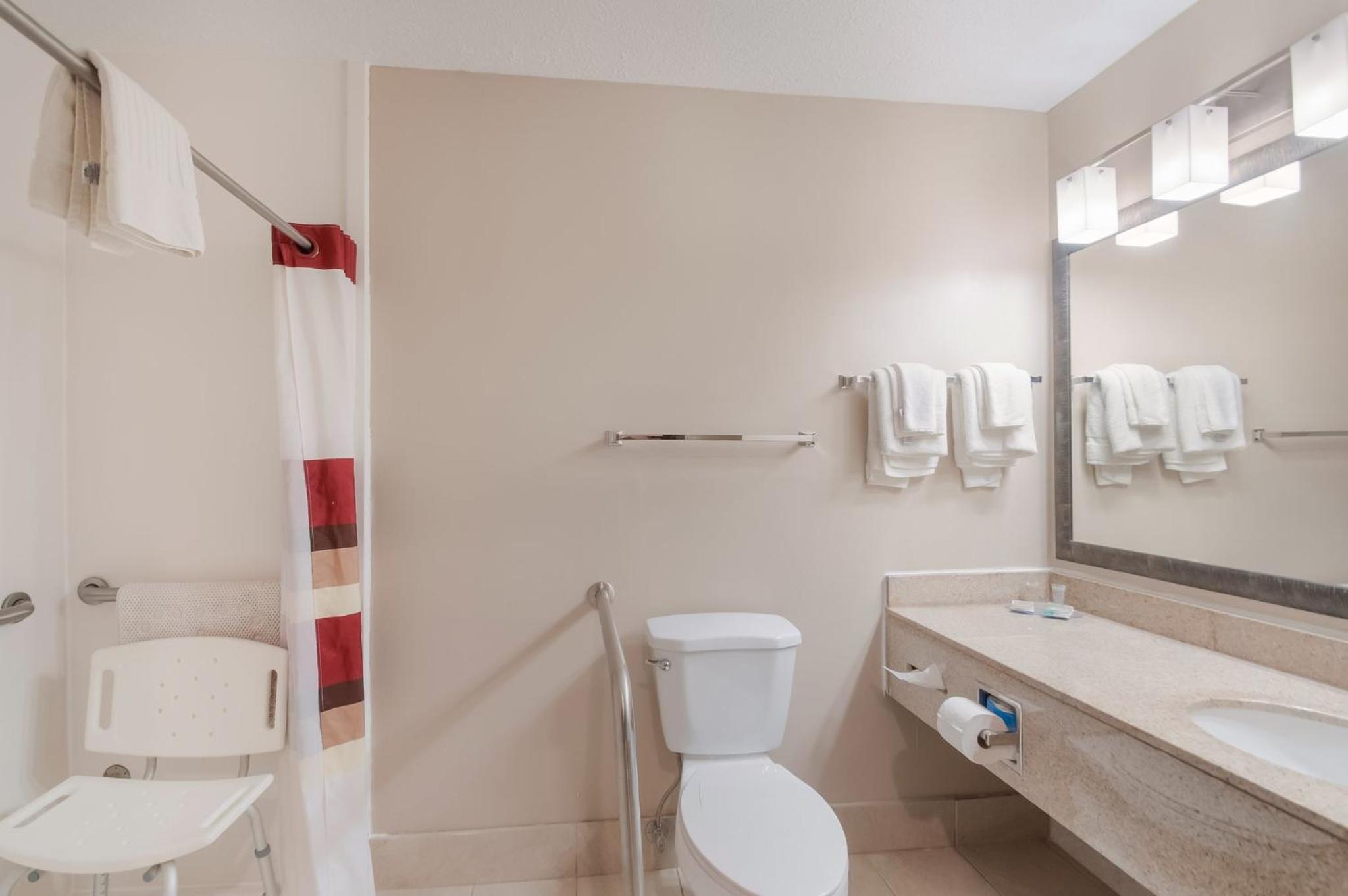 Superior King Room Disability Access Roll-In Shower Non-Smoking