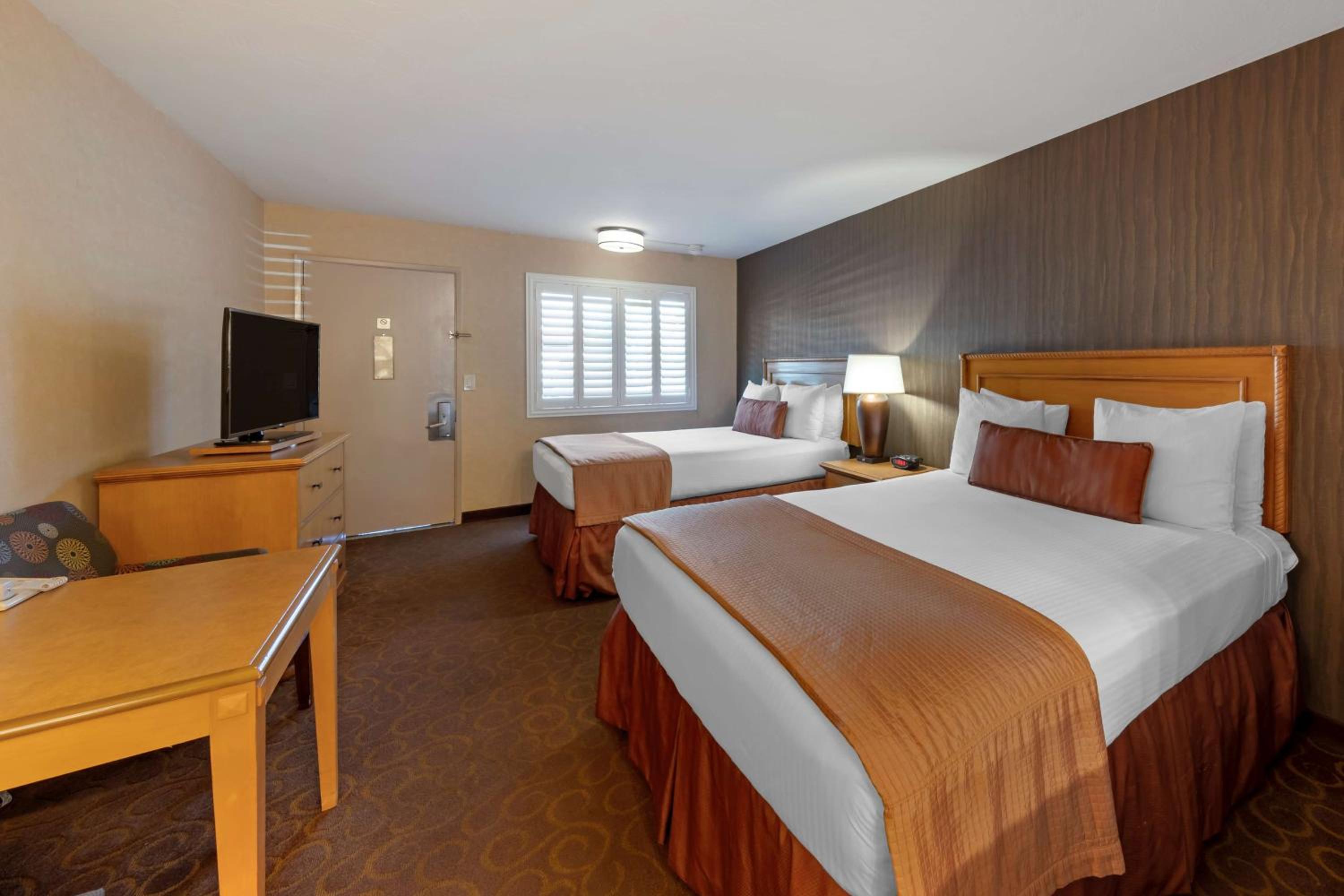 Double Room with Two Double Beds - Disability Access - Non-Smoking - Photo 3