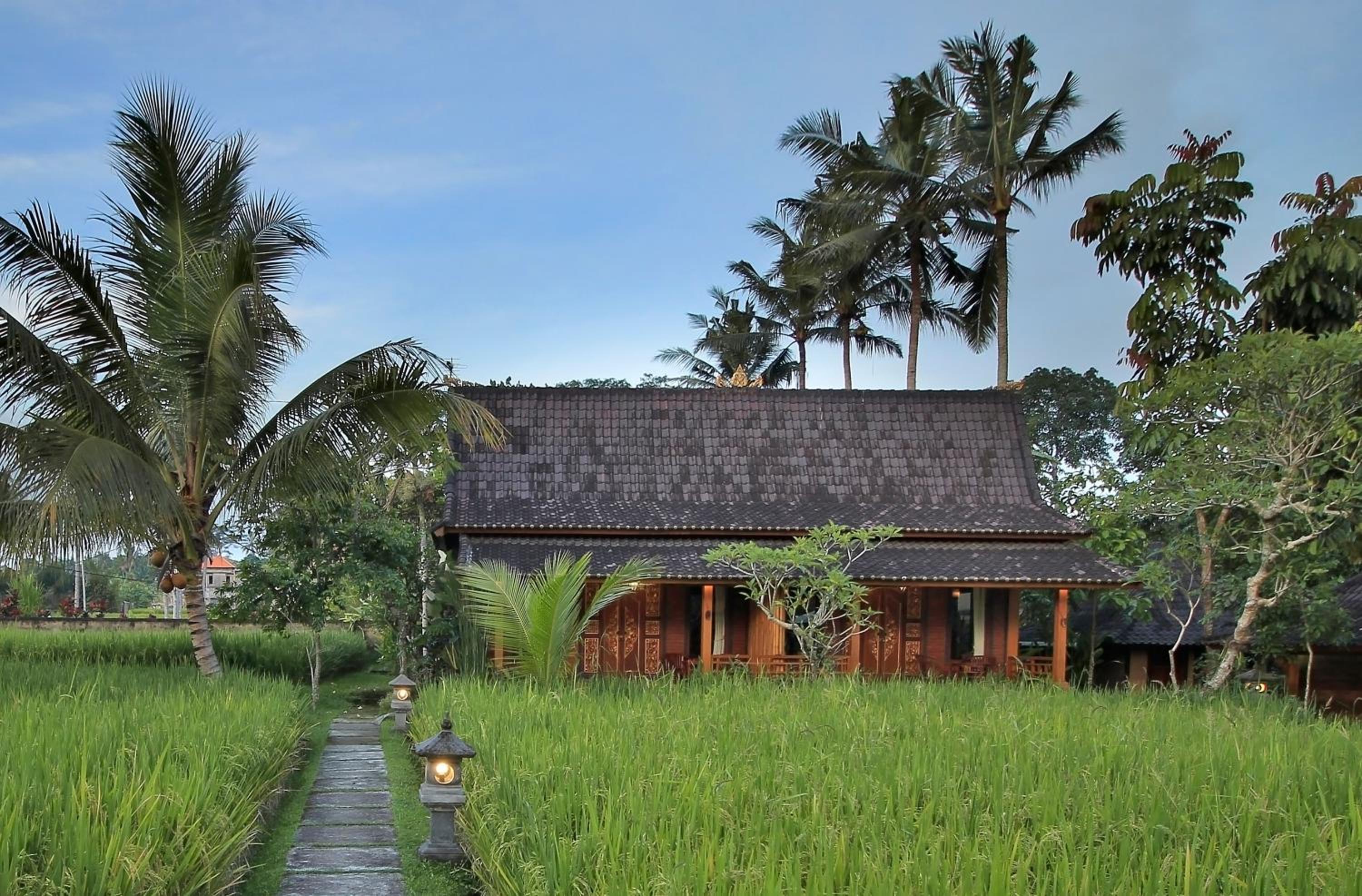 One-Bedroom Villa - Photo 14