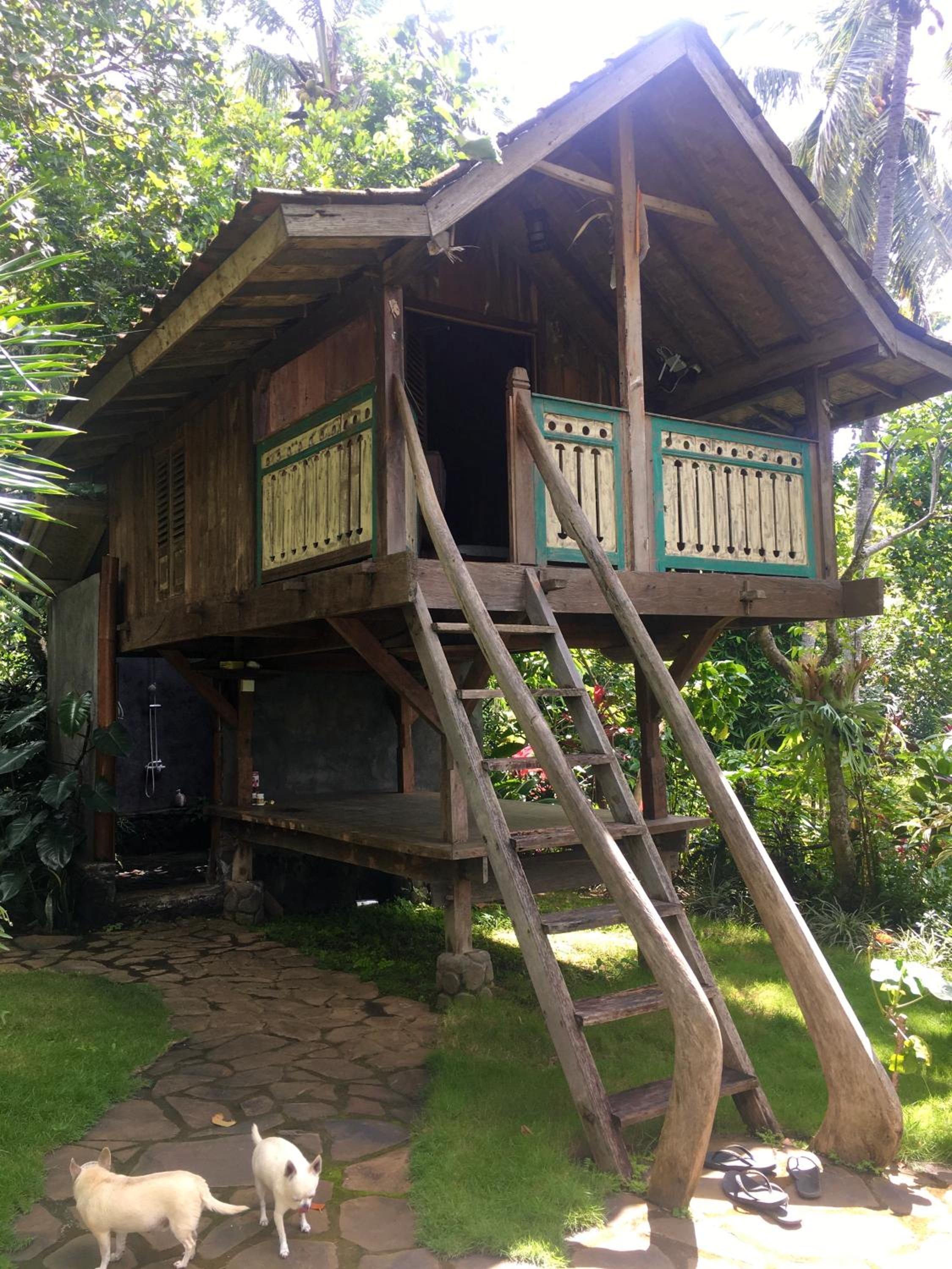 Double Room with Park View - Photo 33