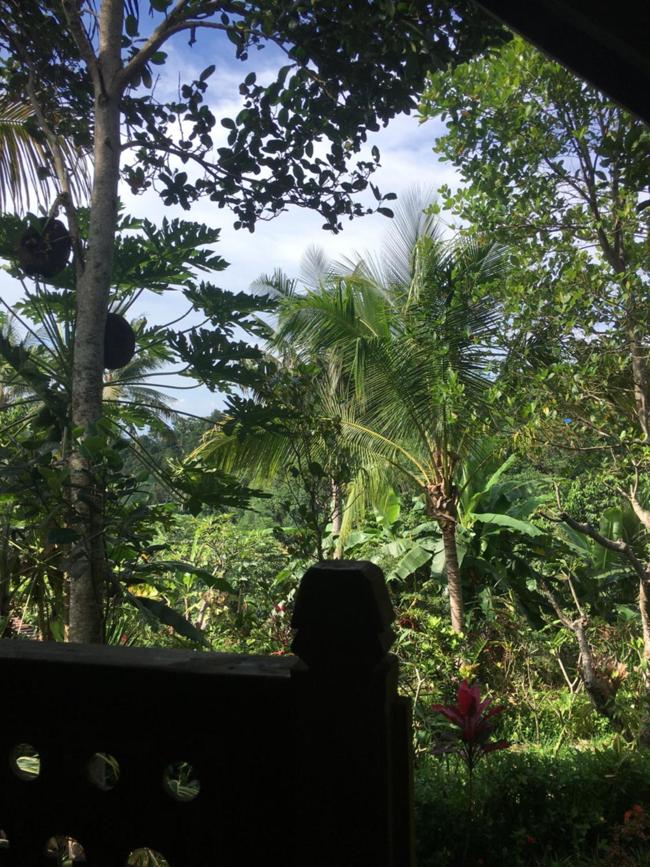 Double Room with Park View - Photo 15