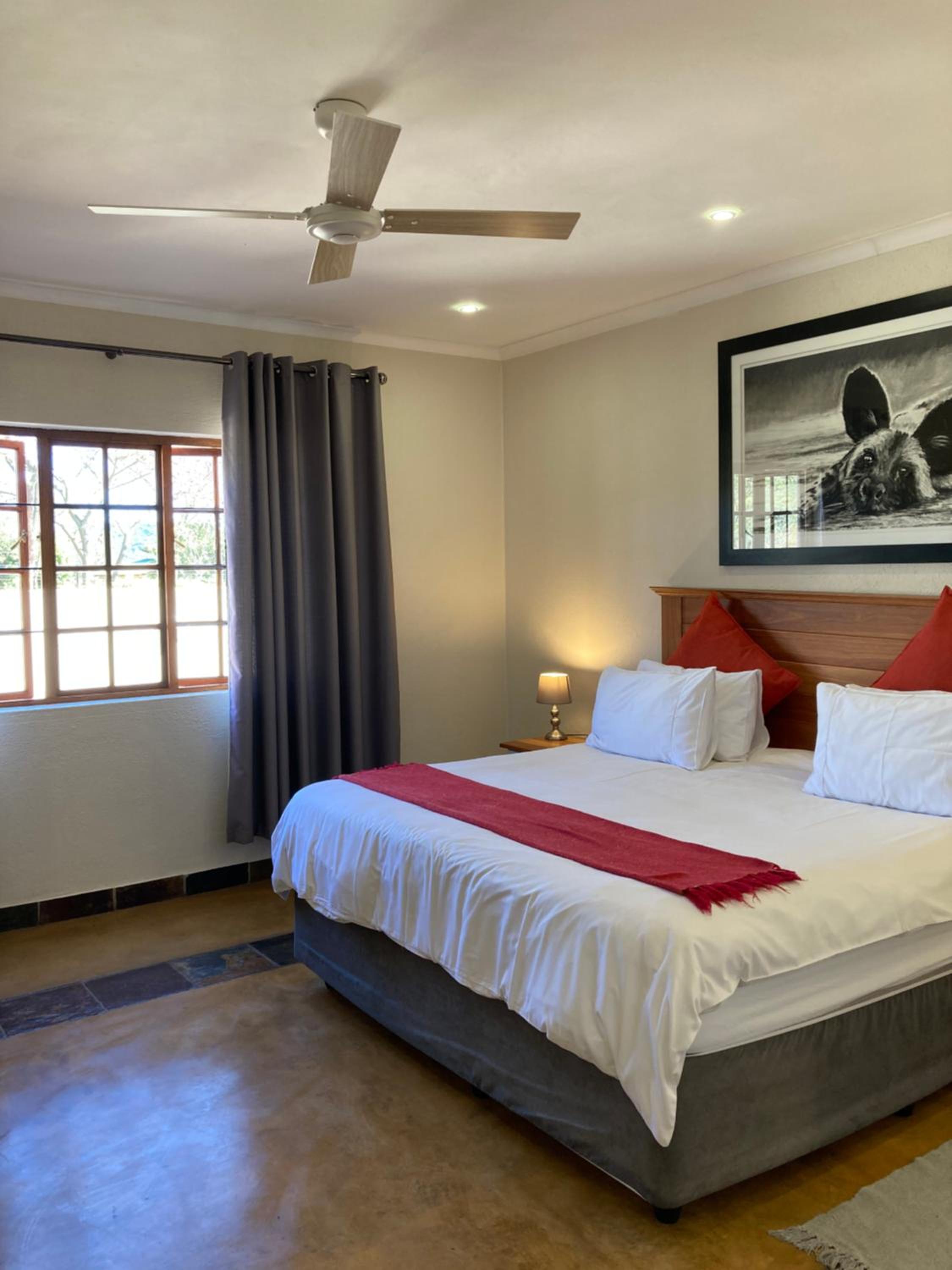 One-Bedroom House - Photo 7