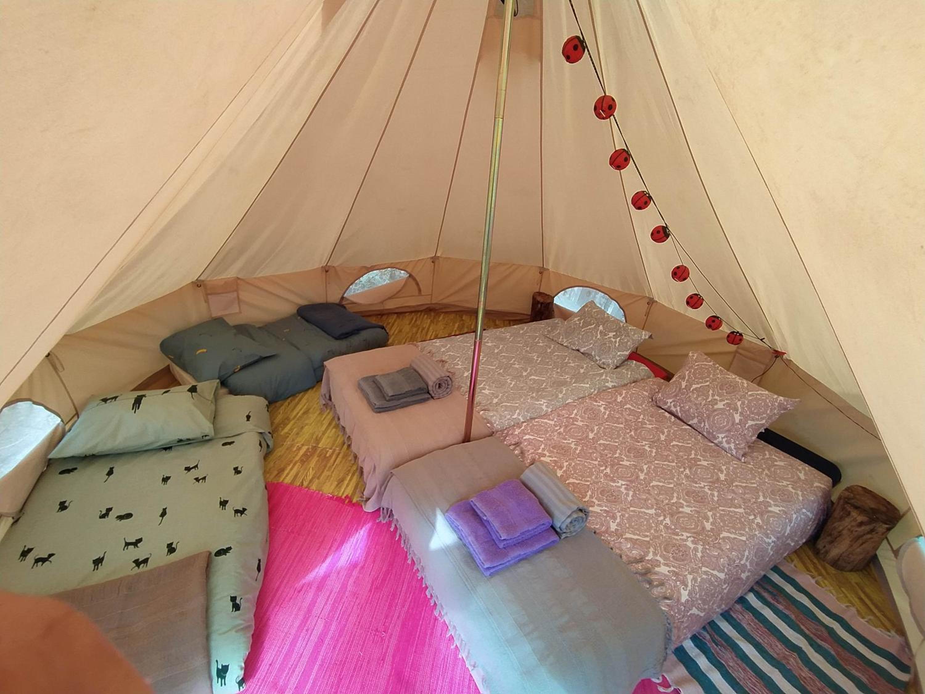 TENT 1  - Photo 31