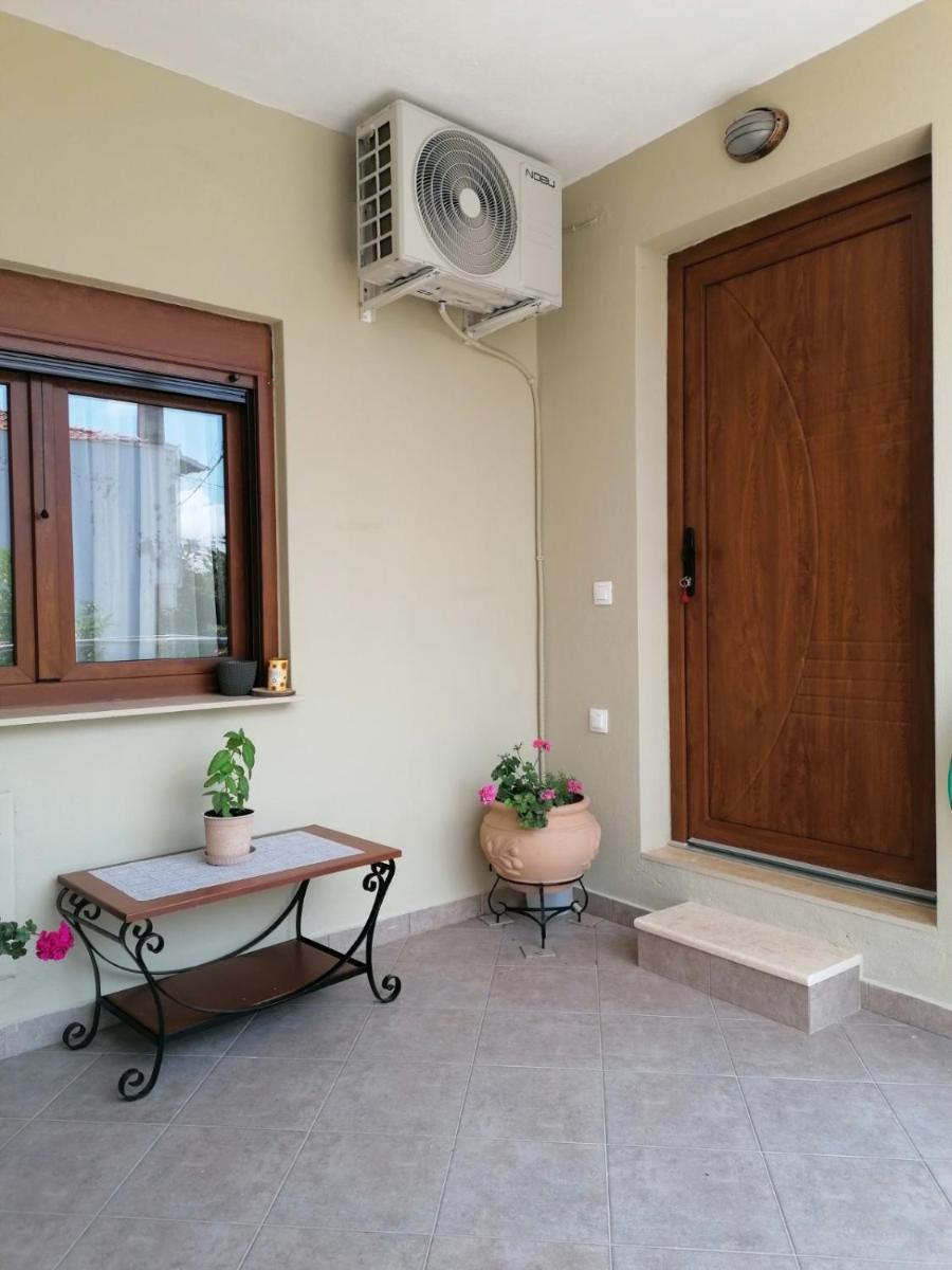 Apartment with Terrace photo 1