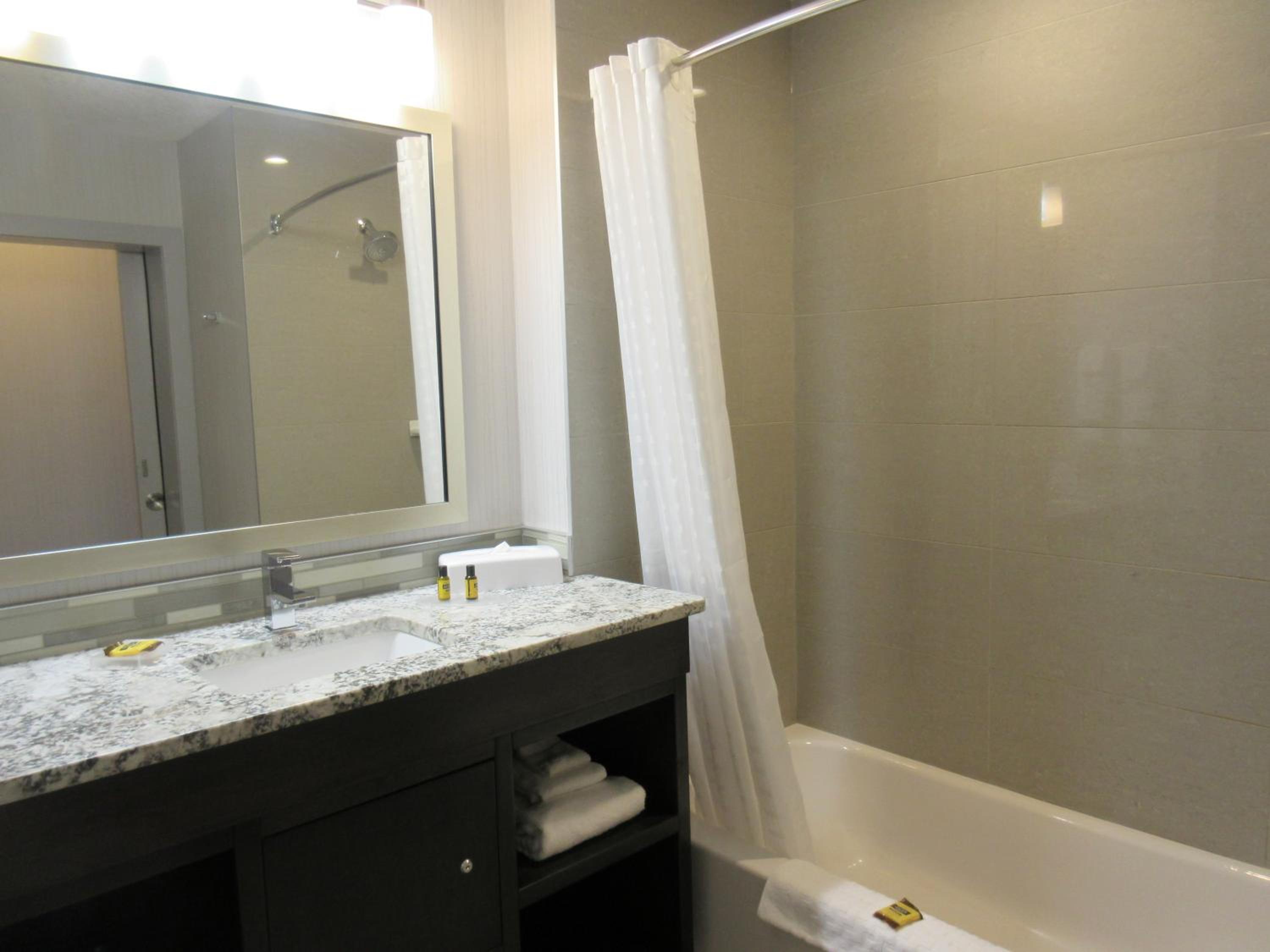 One-Bedroom King Suite with Sofa Bed photo 3