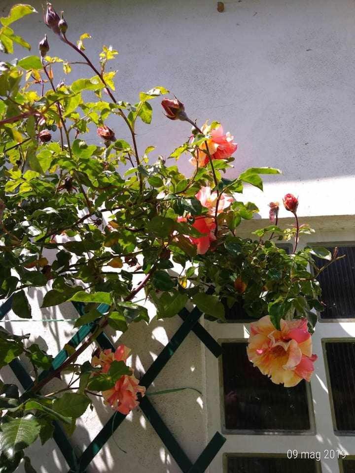 Double or Twin Room - Photo 4
