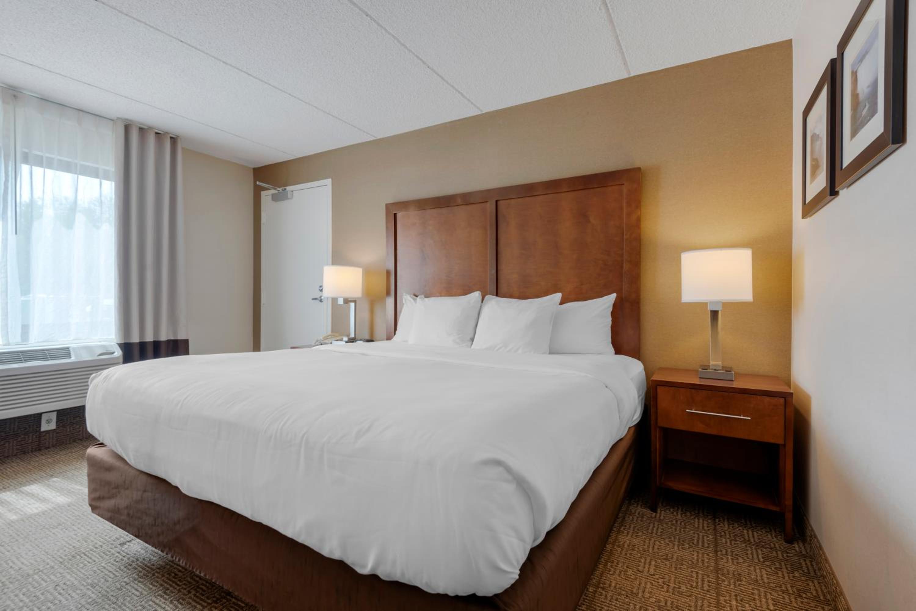 King Room with Roll-in-Shower - Accessible photo 1