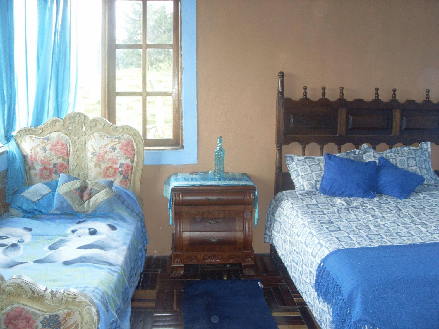 Double or Twin Room photo 2