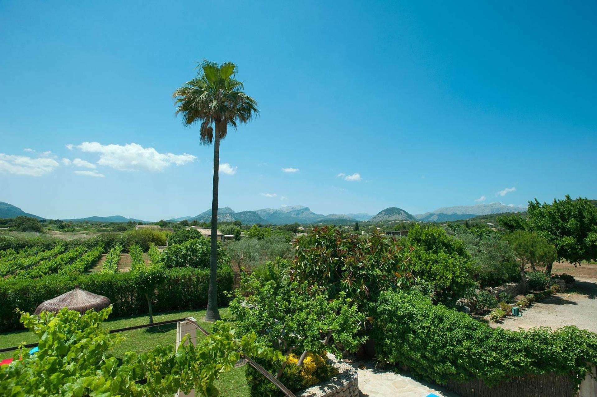 Villa photo 3