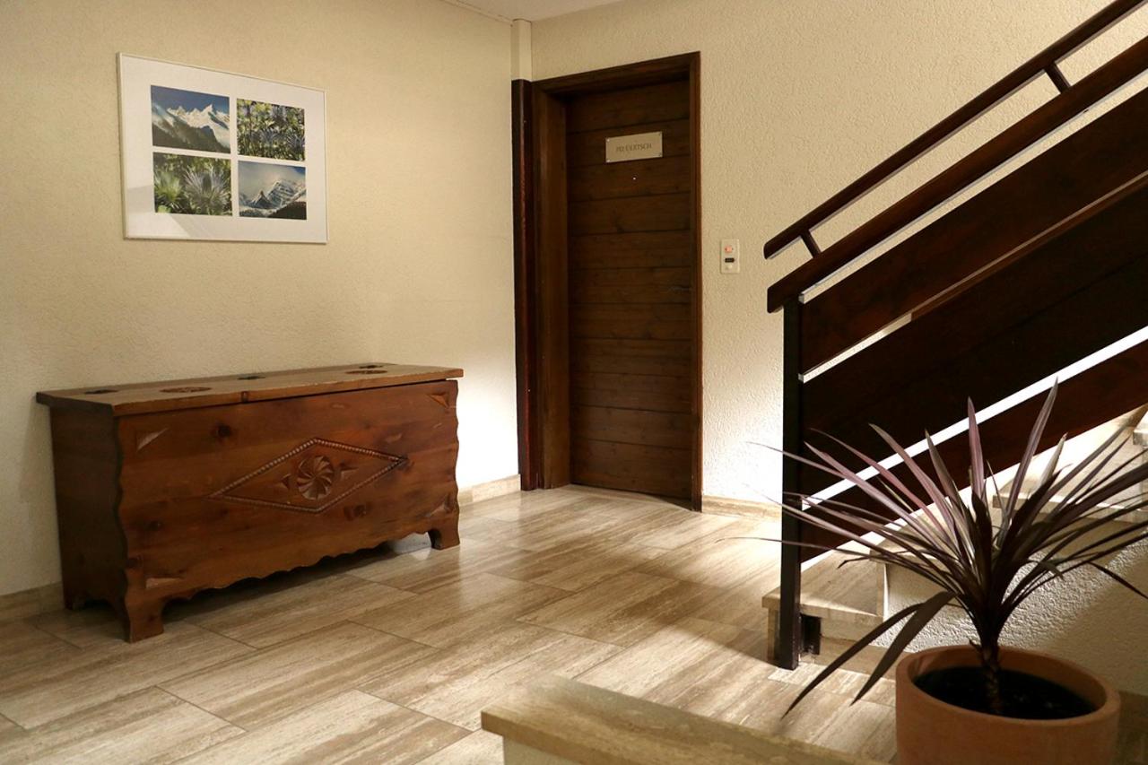 One-Bedroom Apartment photo 3