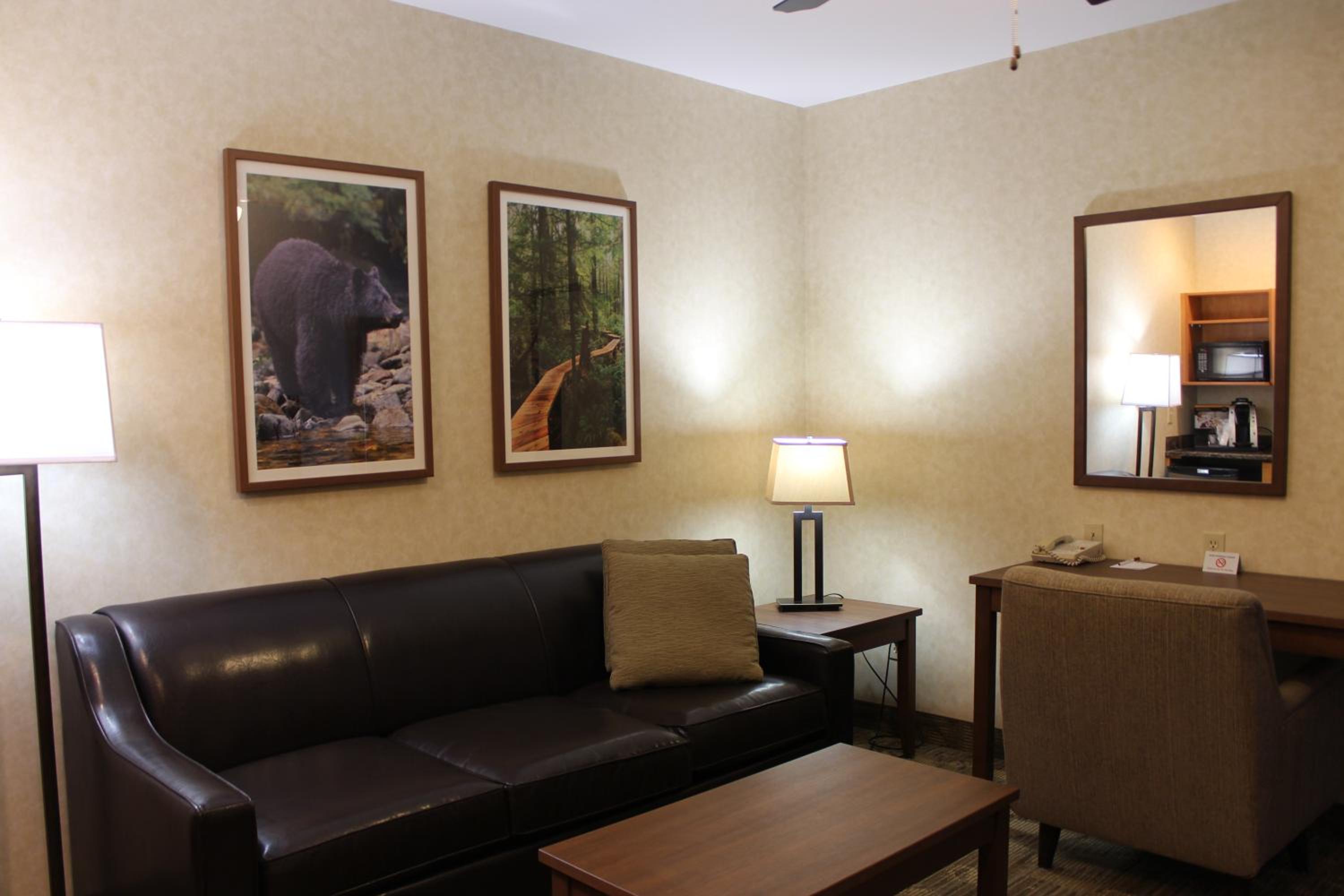 Queen Suite with Sofa Bed and Wet Bar - Pet Friendly/Non-Smoking