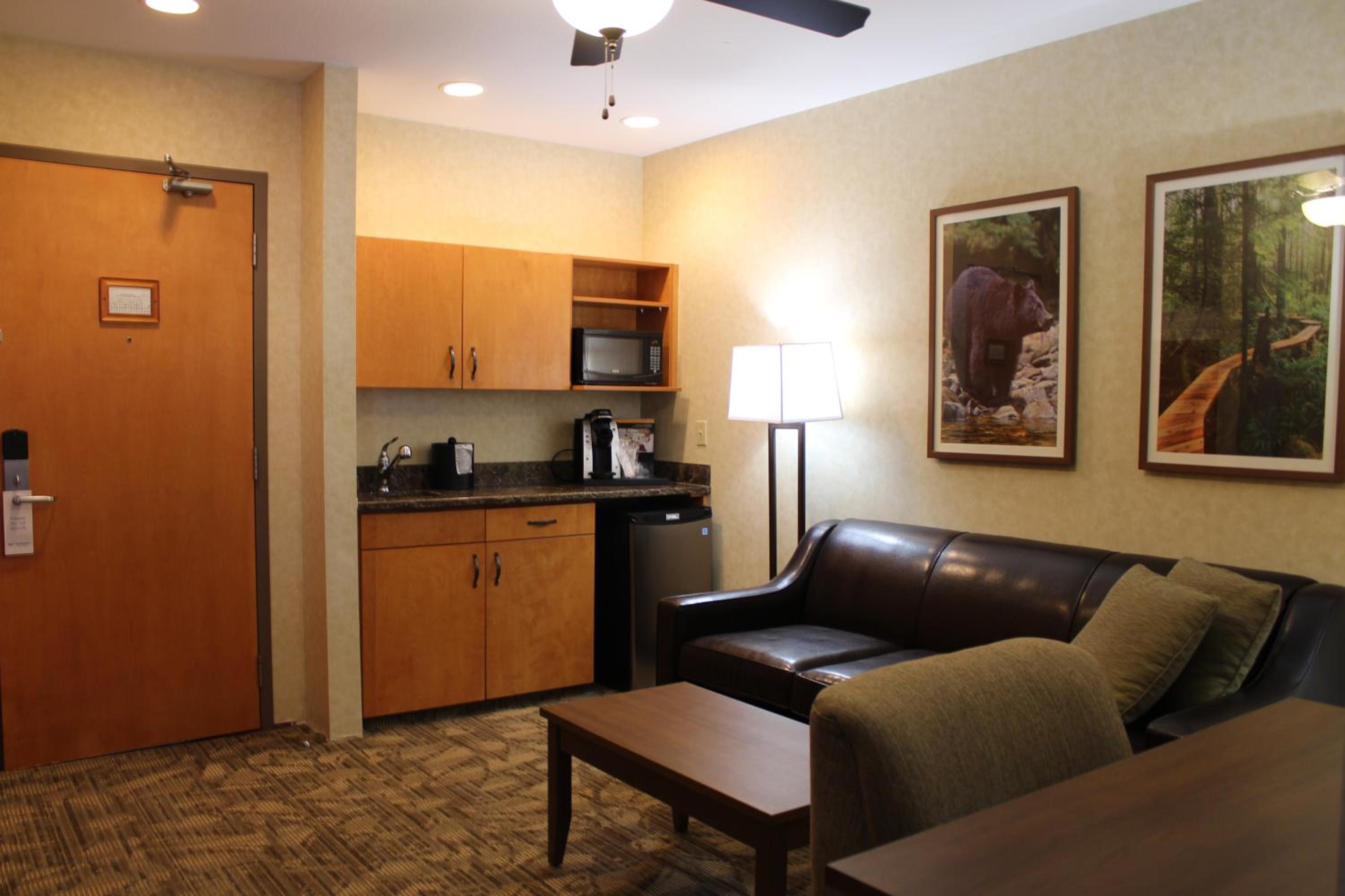 Queen Suite with Sofa Bed and Wet Bar - Pet Friendly/Non-Smoking photo 3
