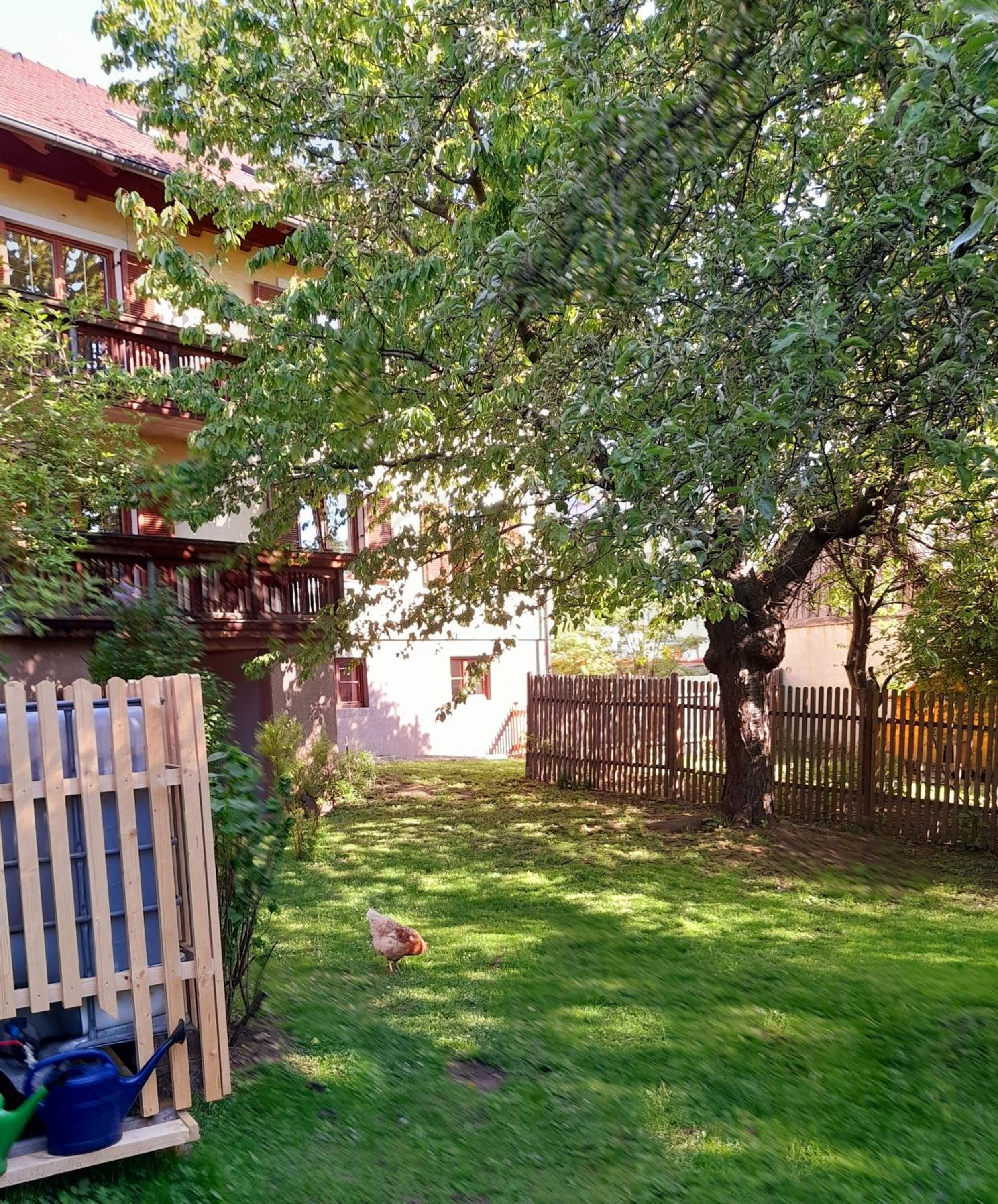 Apartment with Terrace - Photo 5