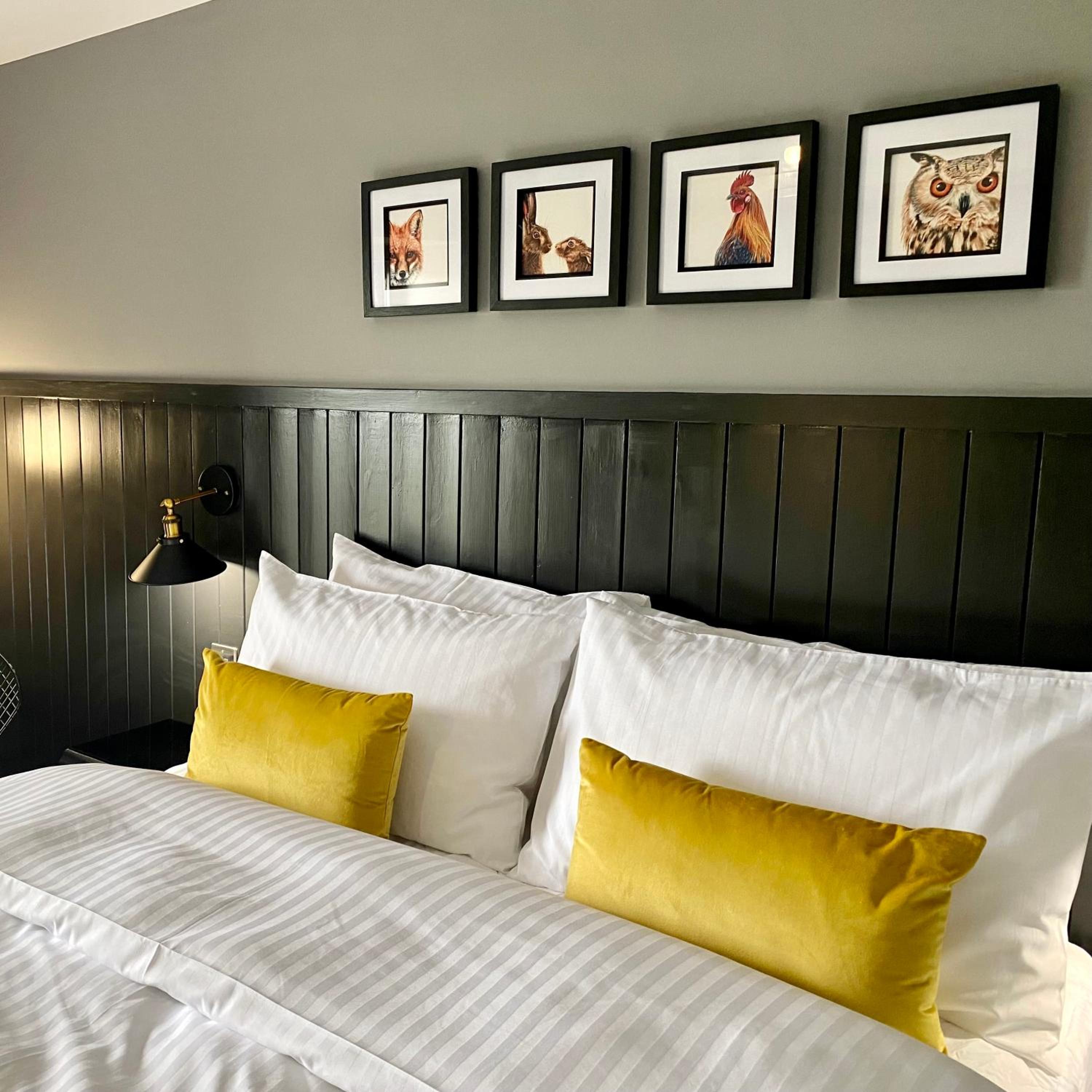 Large Double Room photo 3