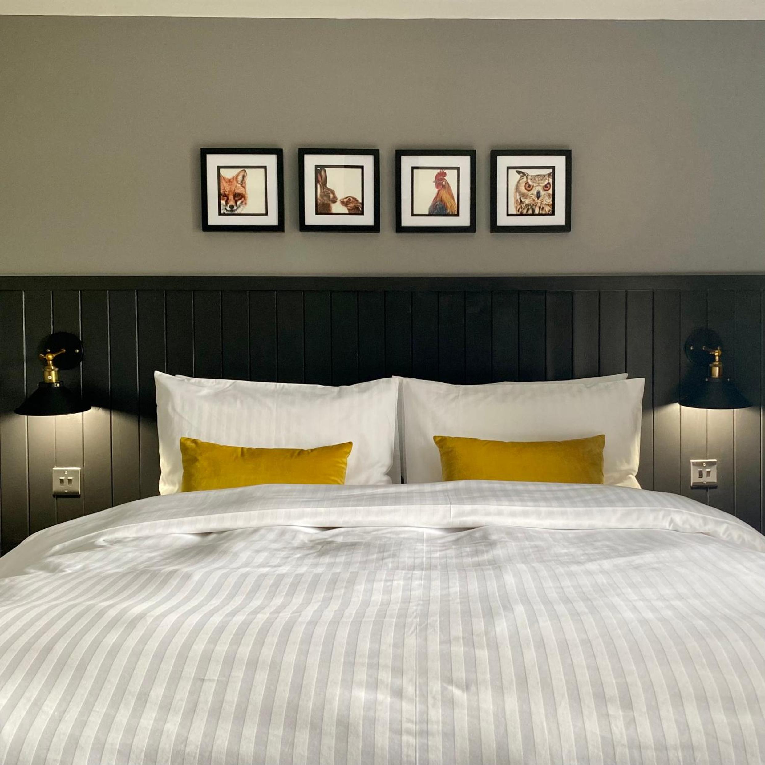 Double Room photo 2