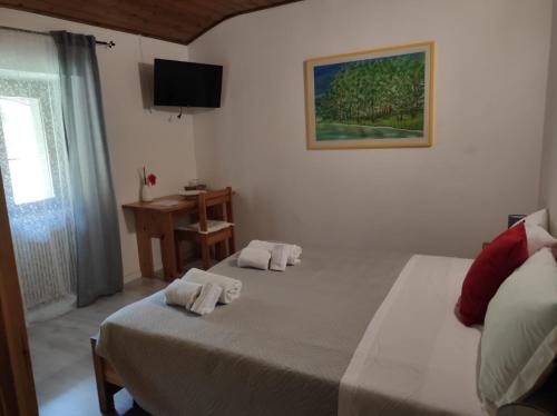 Superior Double or Twin Room photo 3