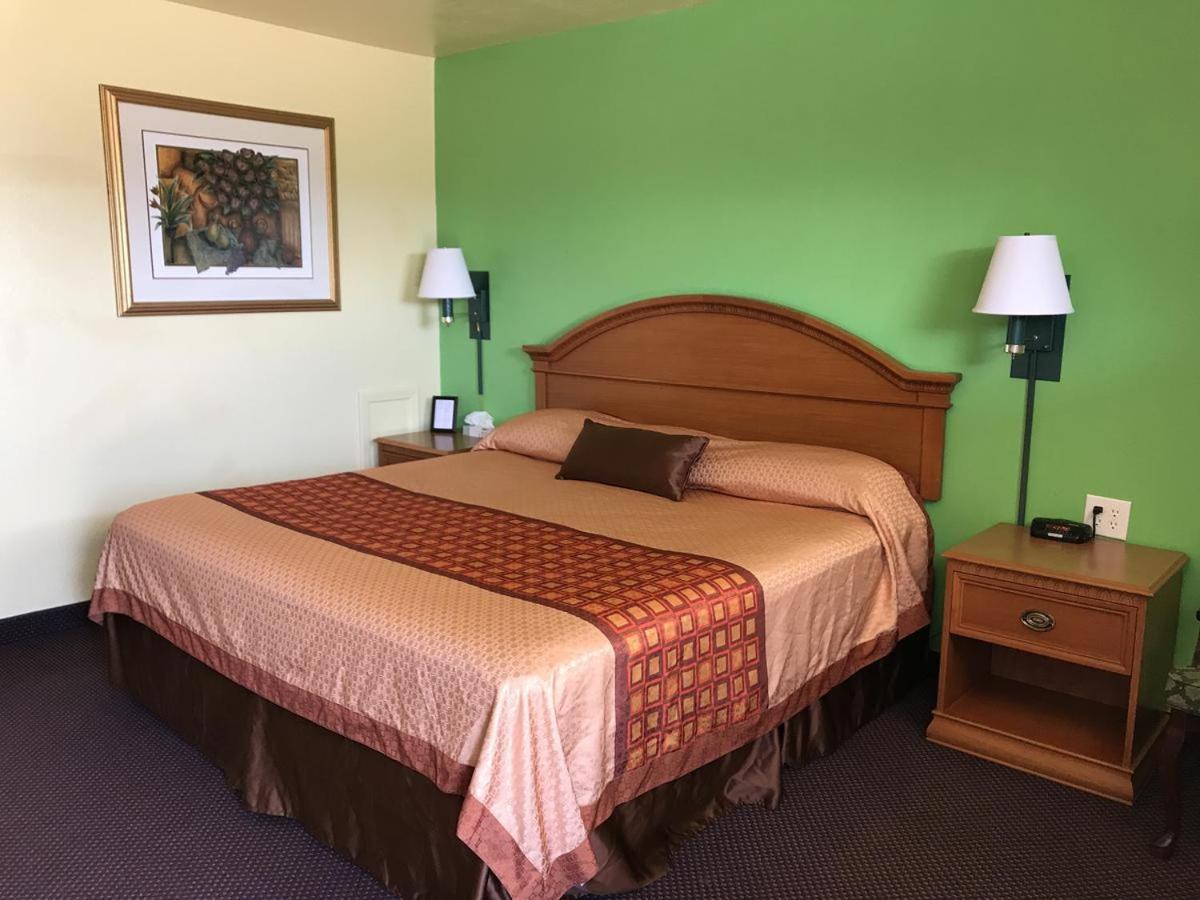 Budget Single Room photo 3