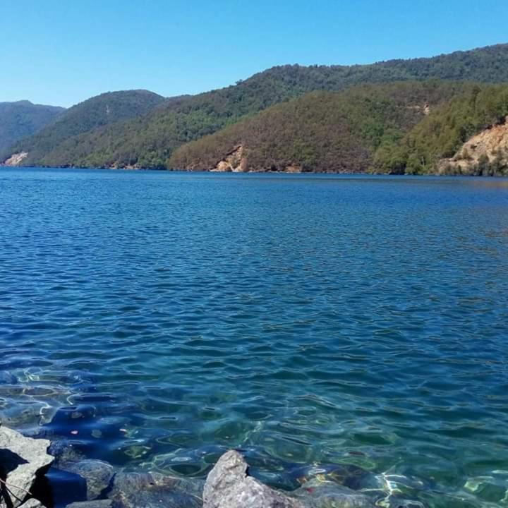 Bungalow - Water Front  photo 2