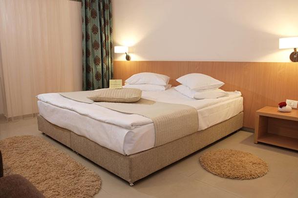 Double Room - Ground Floor photo 2