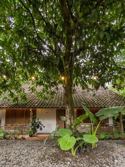 Three-Bedroom Villa - Photo 36