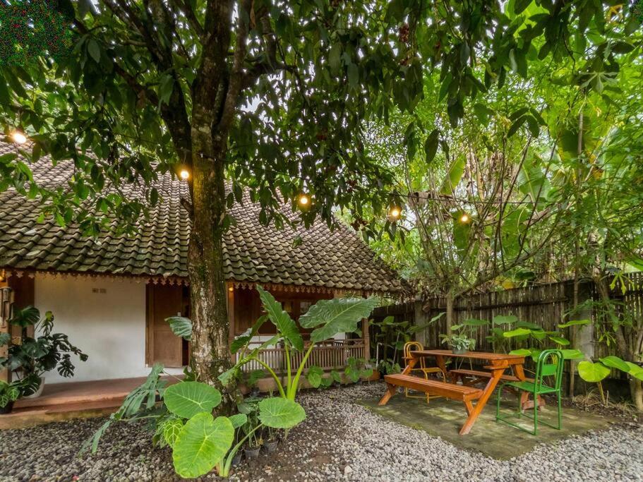 Three-Bedroom Villa - Photo 12