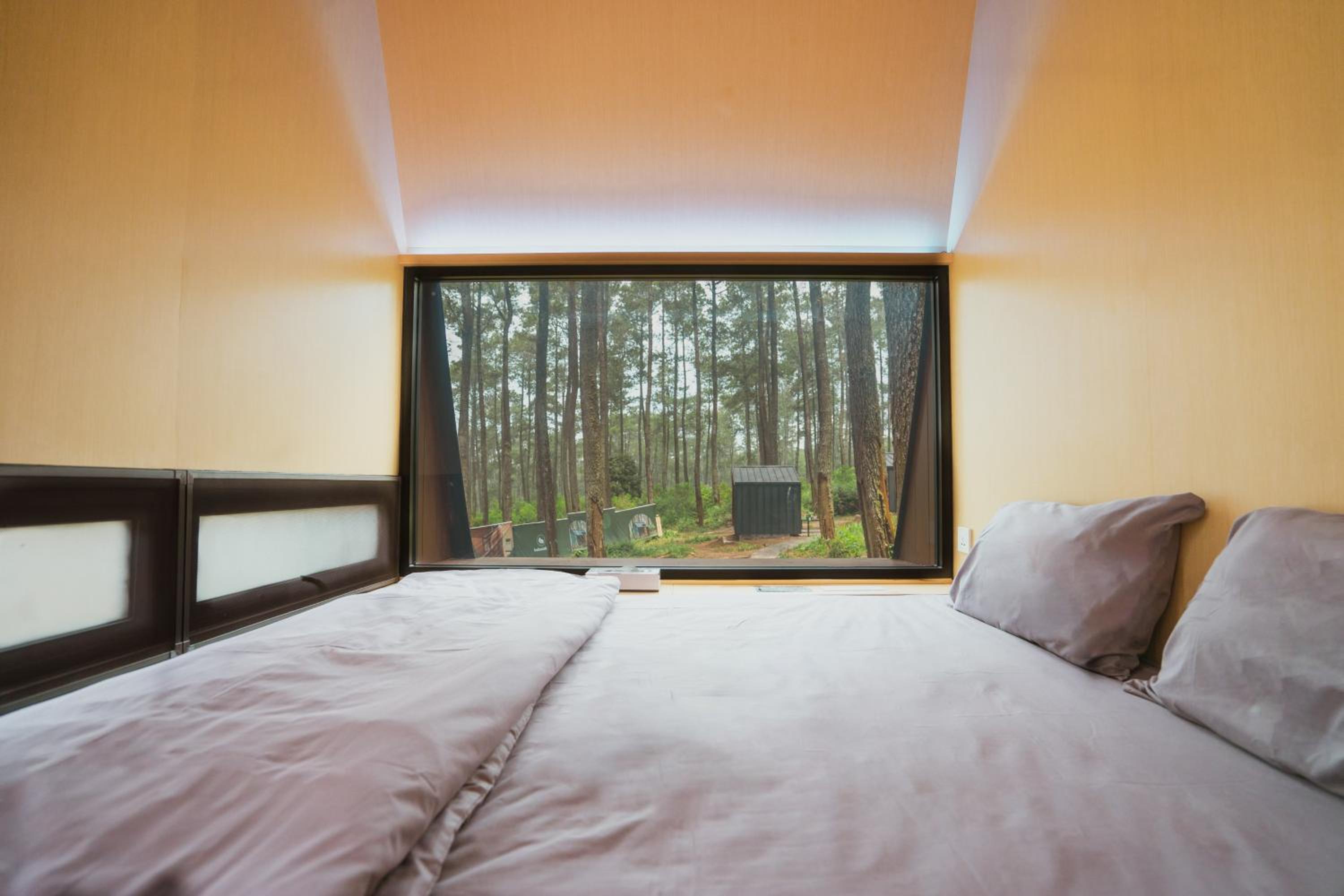 Standard Cabin with Shared Bathroom