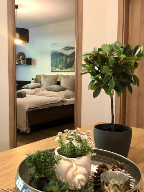 Apartment with Terrace photo 1
