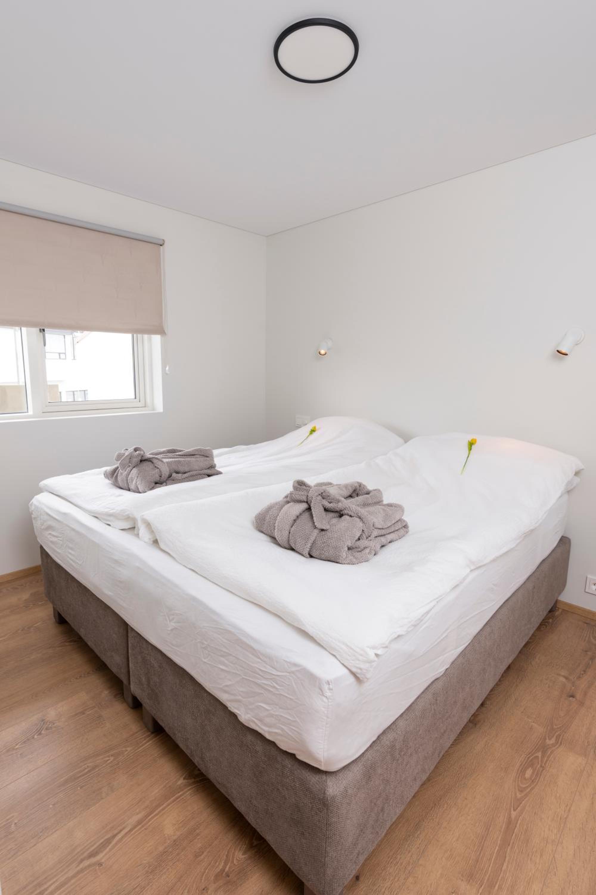 One-Bedroom Apartment - Photo 4