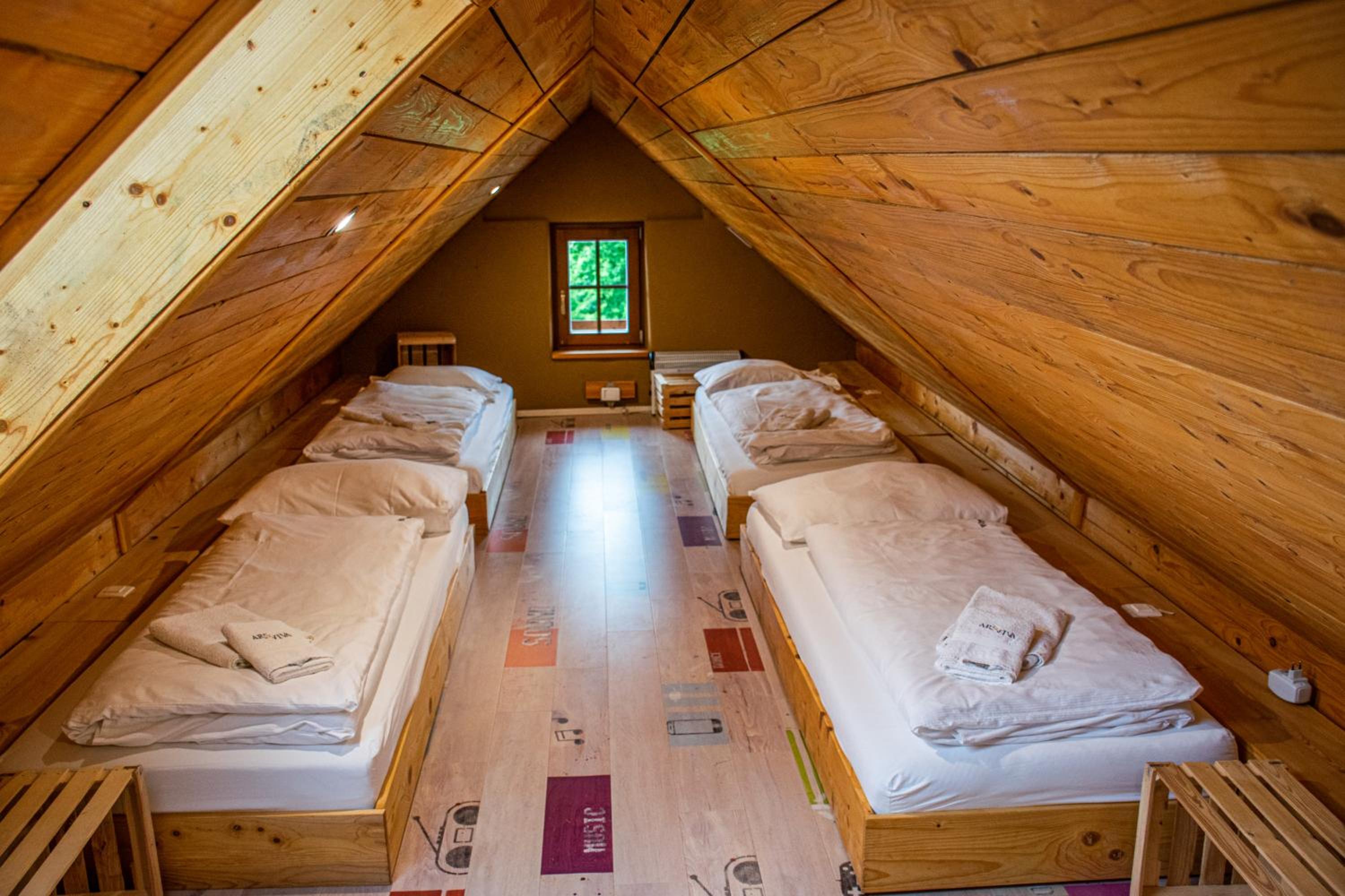 Single Bed in Mixed Dormitory Room photo 3